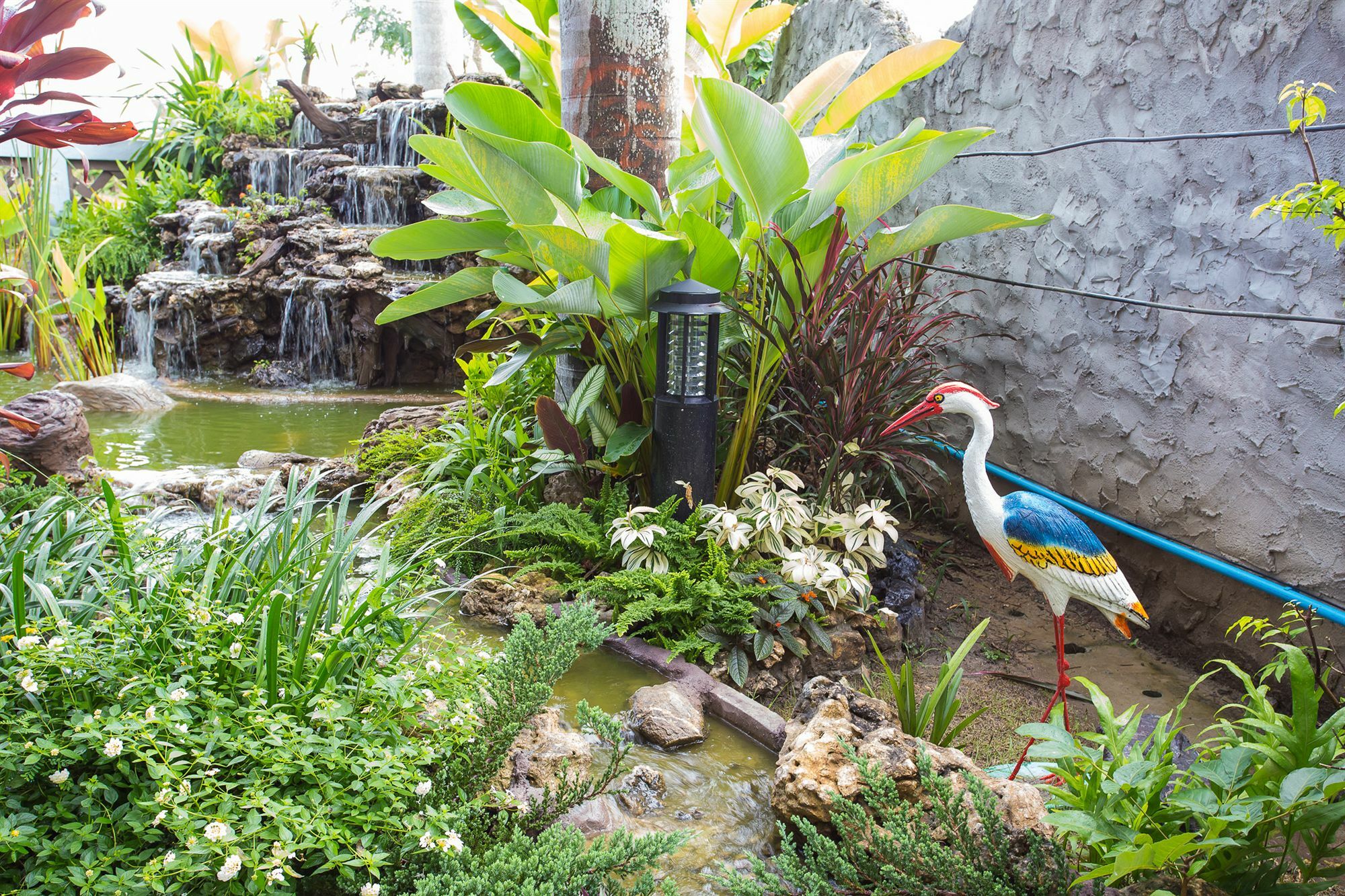 Is Am O Chiang Mai San Sai