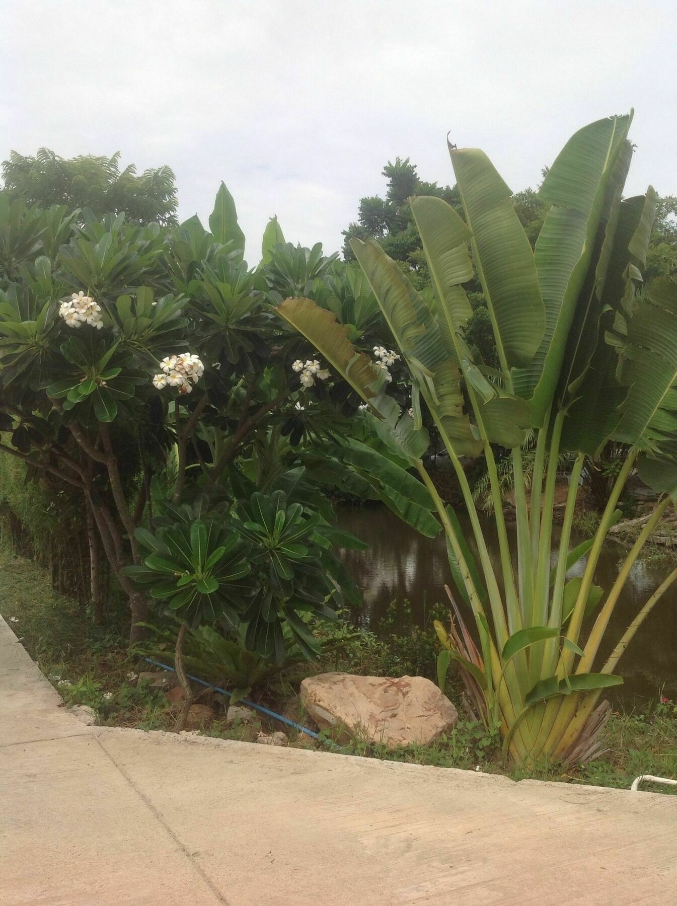Guest house Kantana 2*