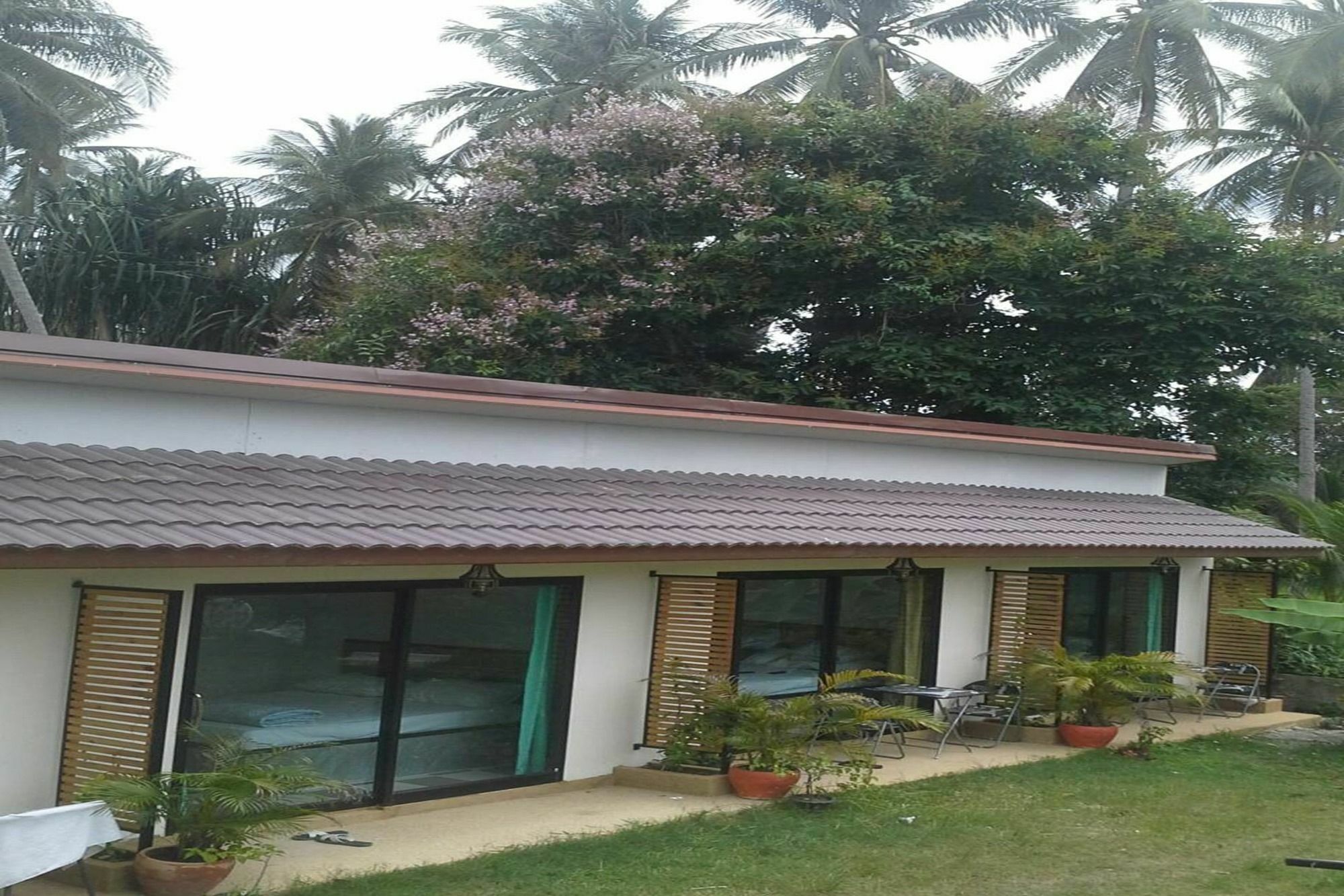 Bed & Breakfast New Season 2*