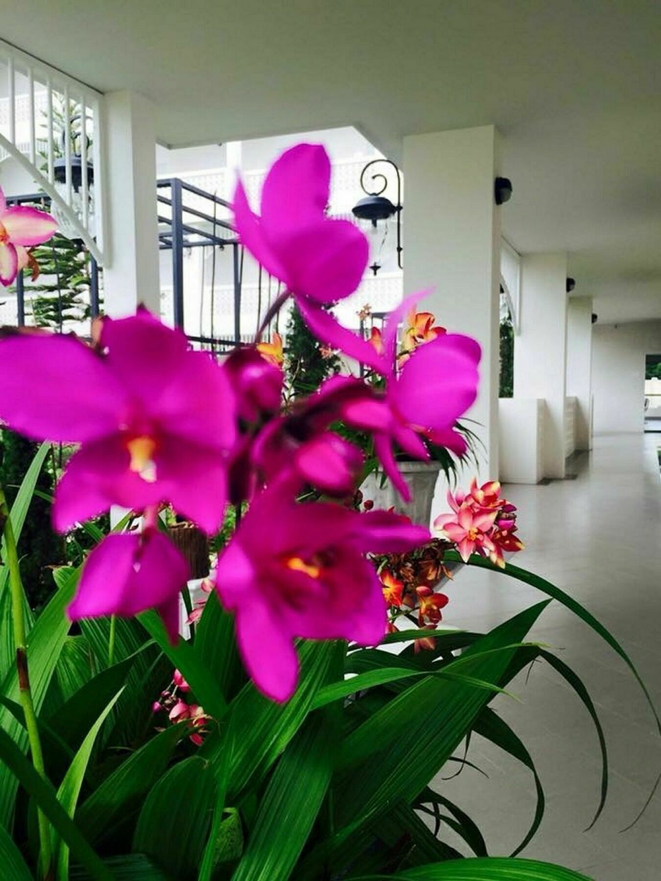 Hotel Koranaree Courtyard Boutique
