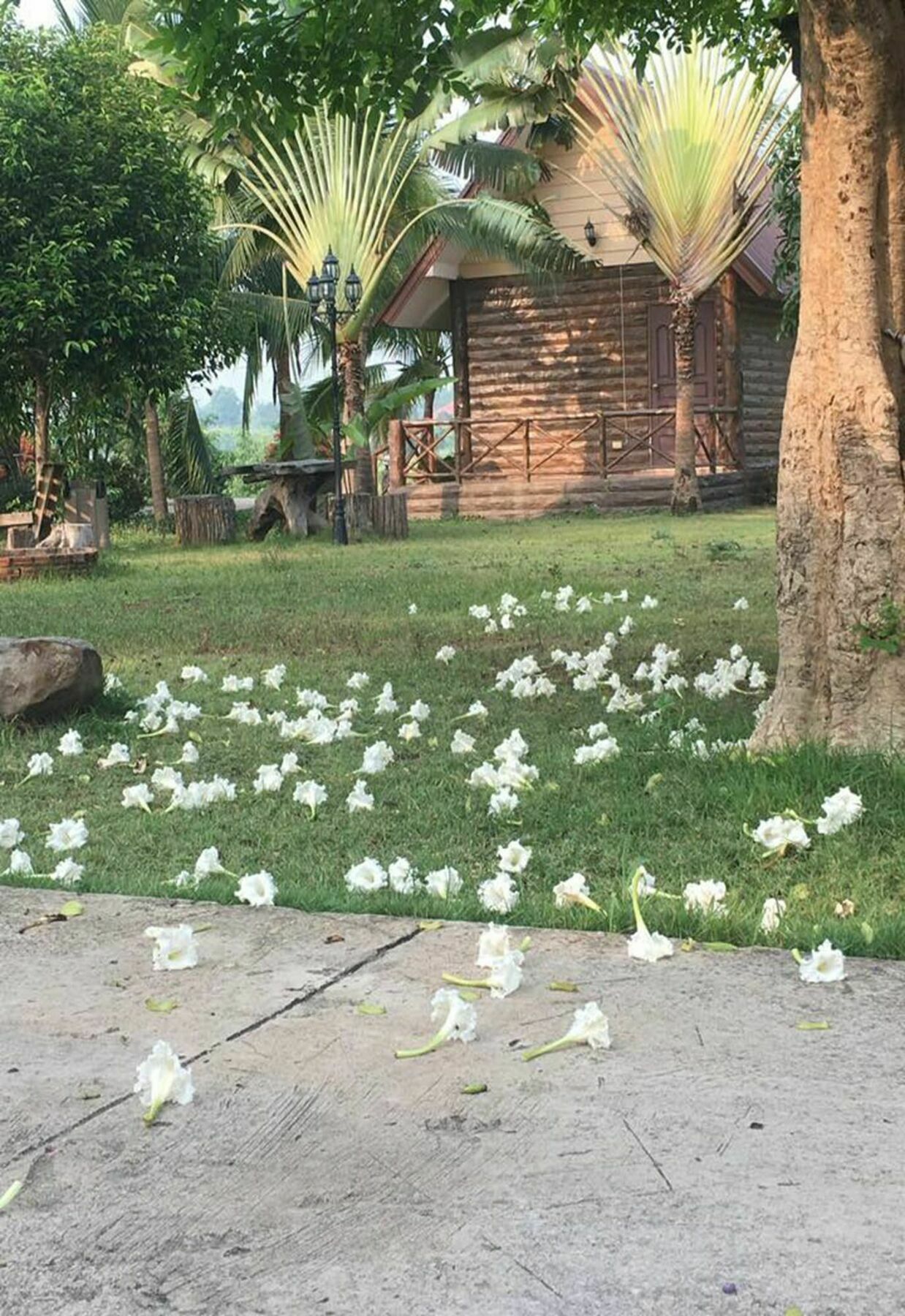 Bansuan Chomdao Hotel Khon Kaen