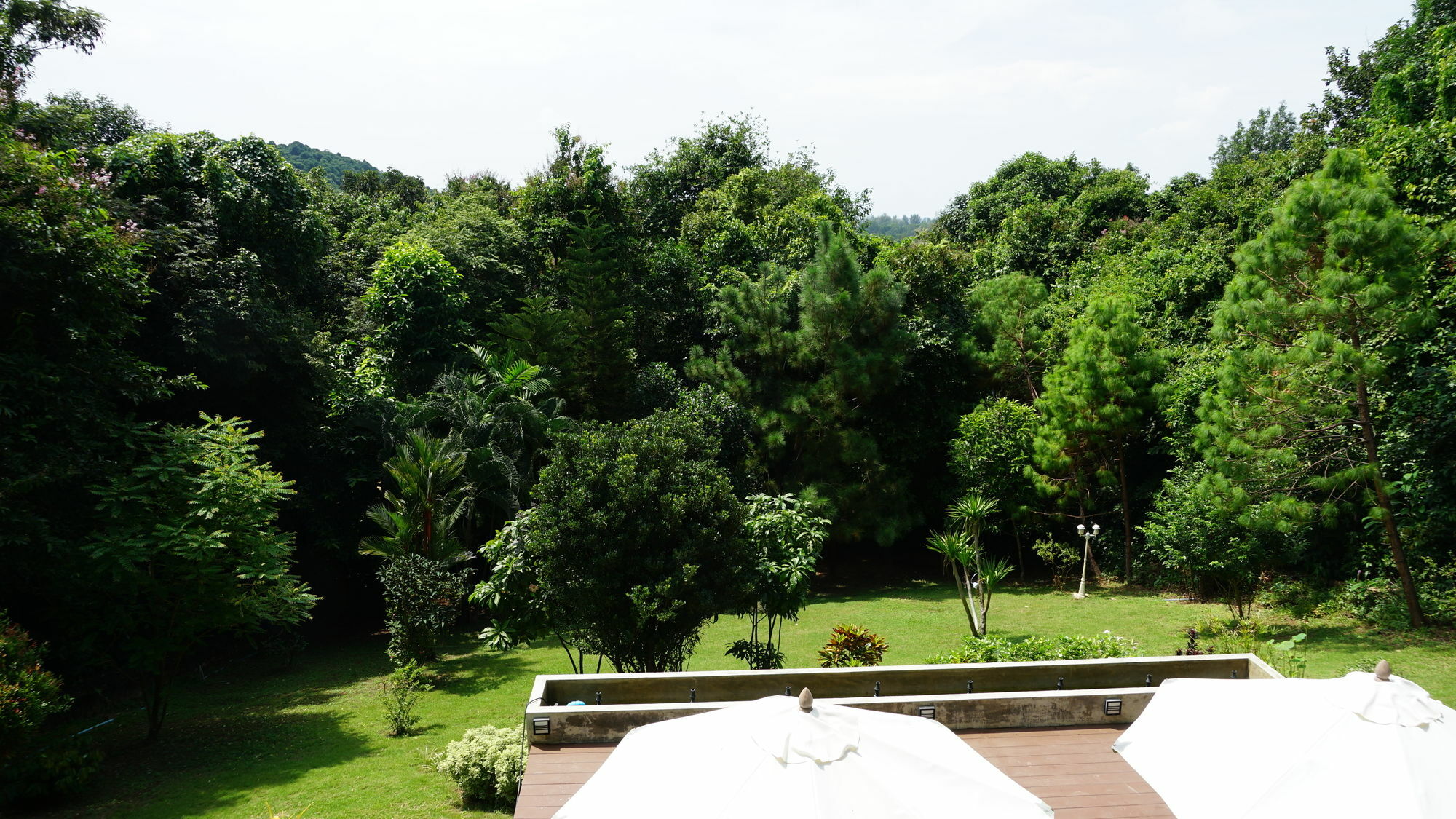 Villa Nutt *