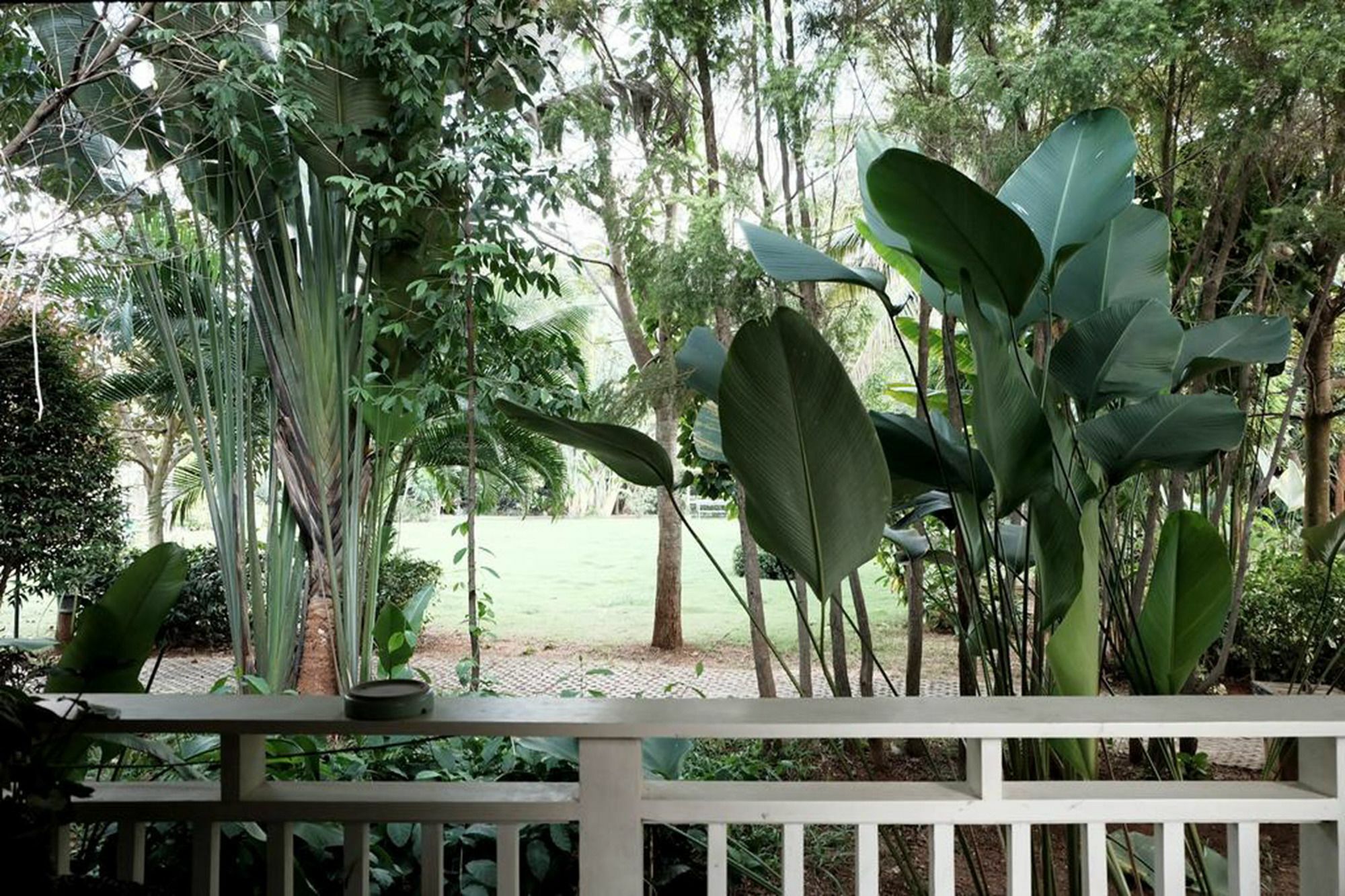 Khao Yai Mu Si