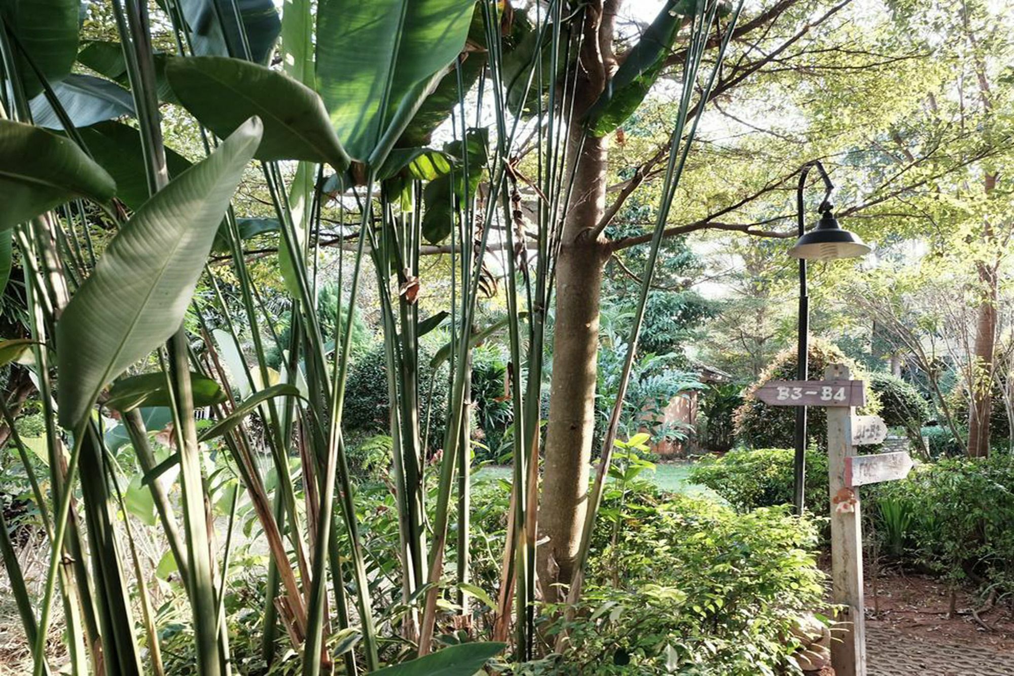 Khao Yai 2* Mu Si