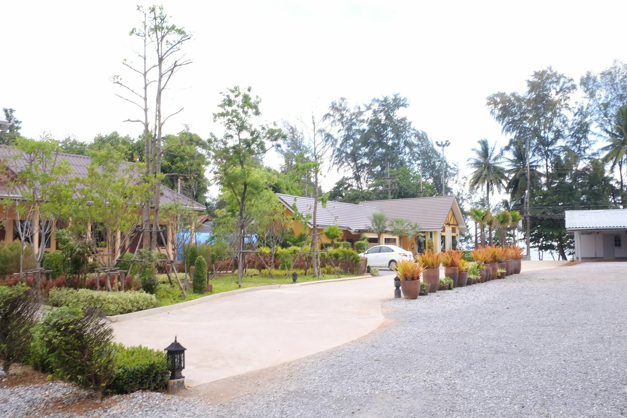 Pimtara 3*