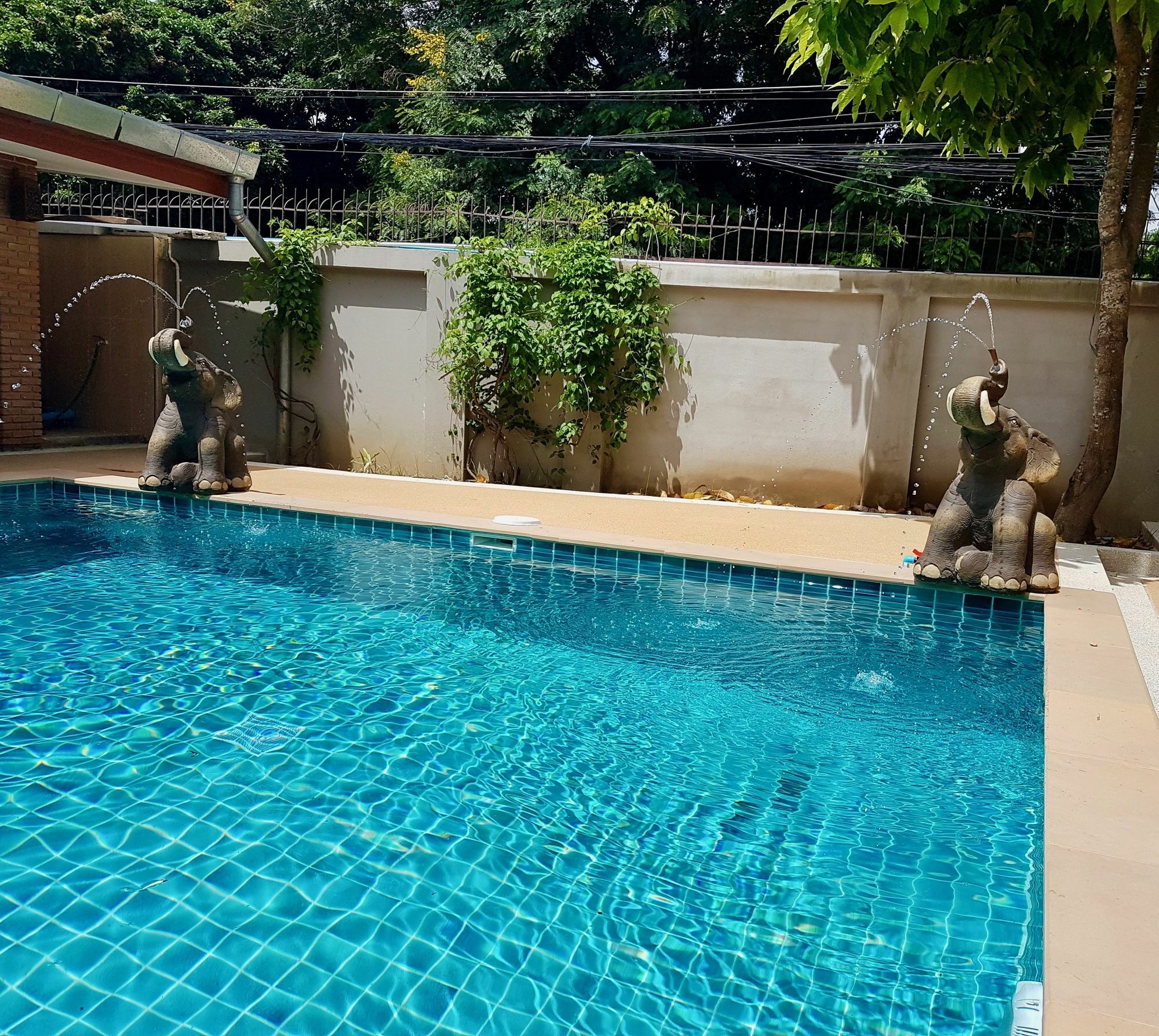 Desire Luxury * San Sai