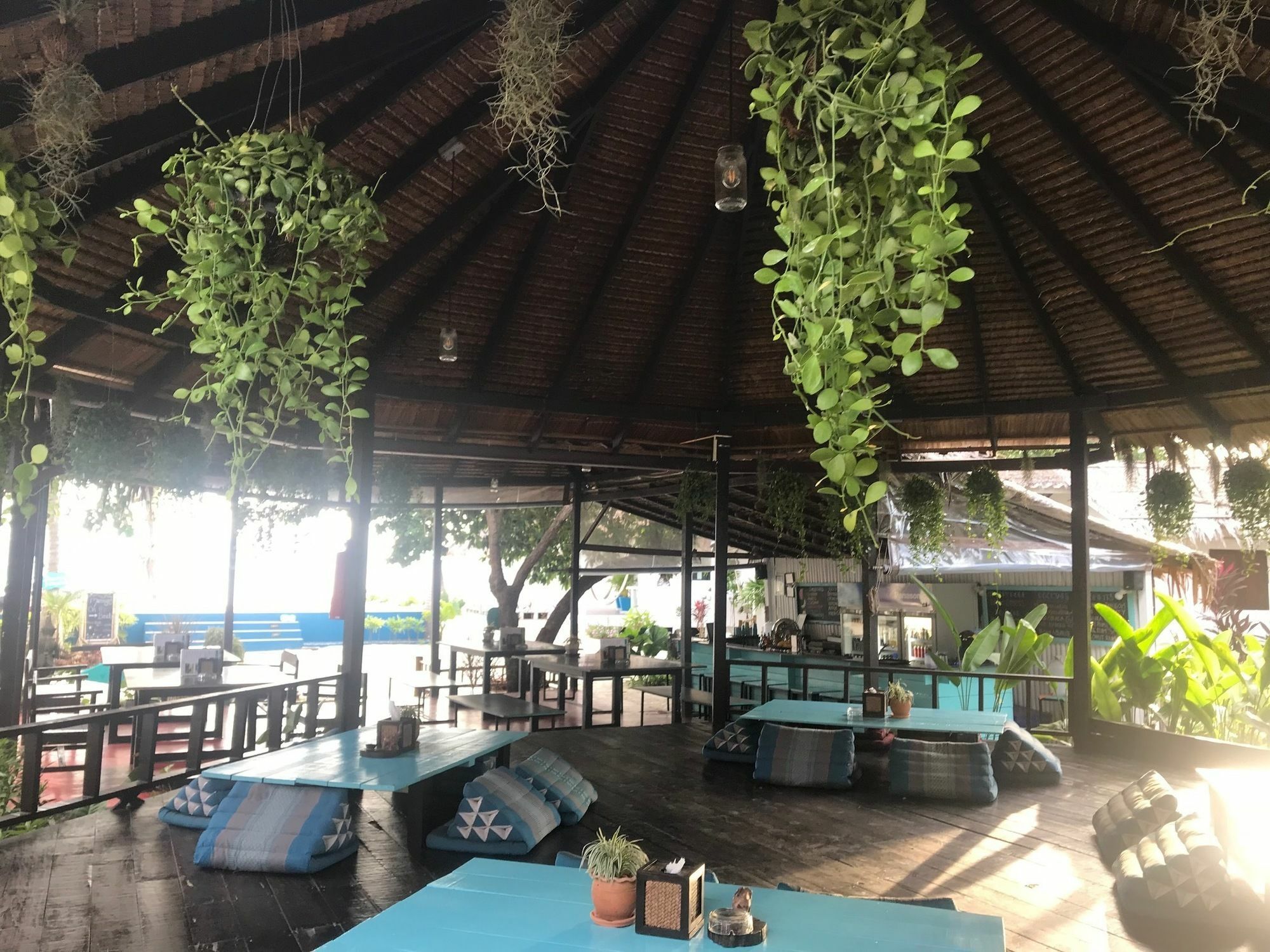 Sarana