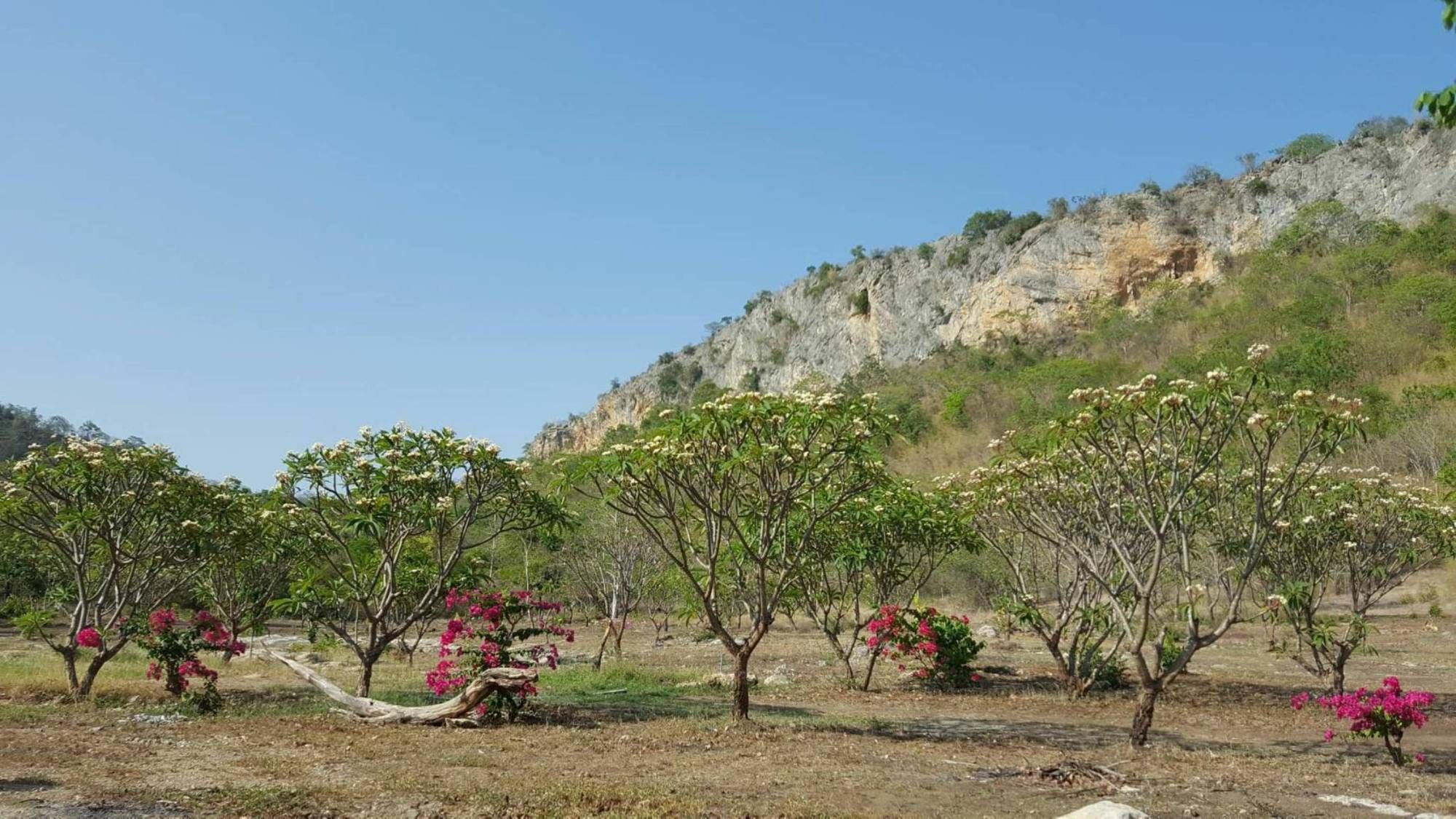 Resort Phurang Hill 3*