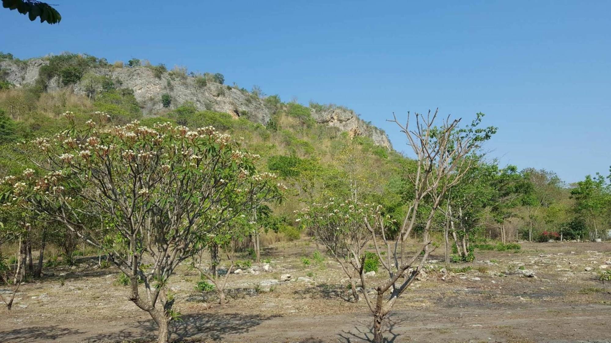 Phurang Hill