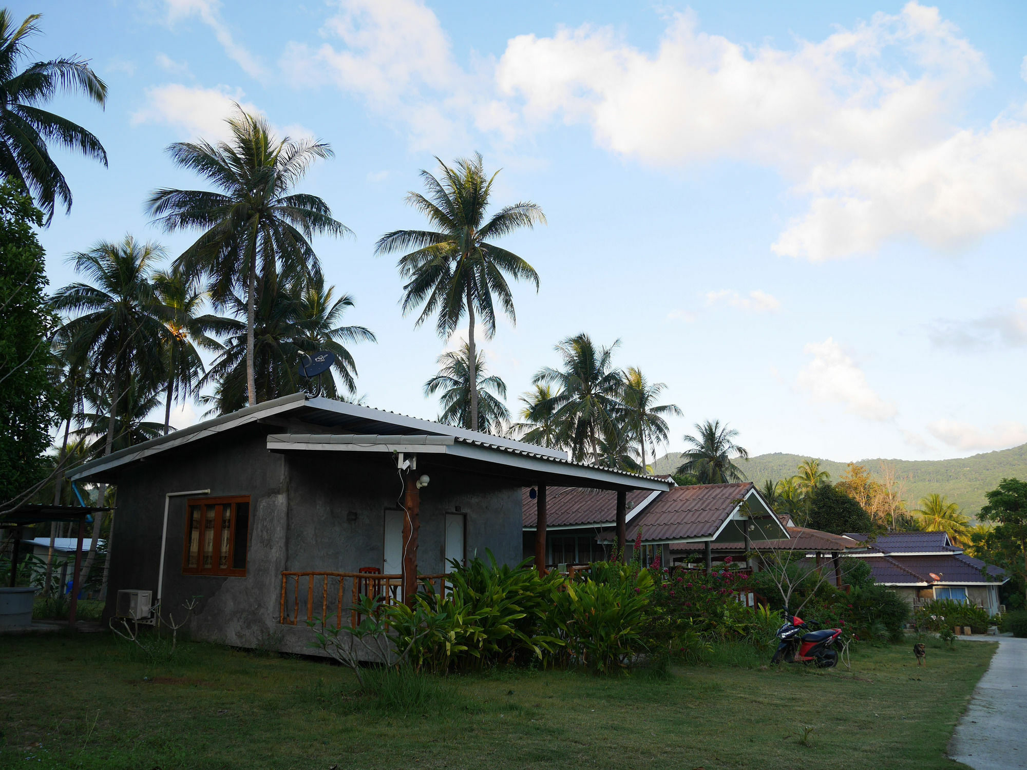 Phangan P10