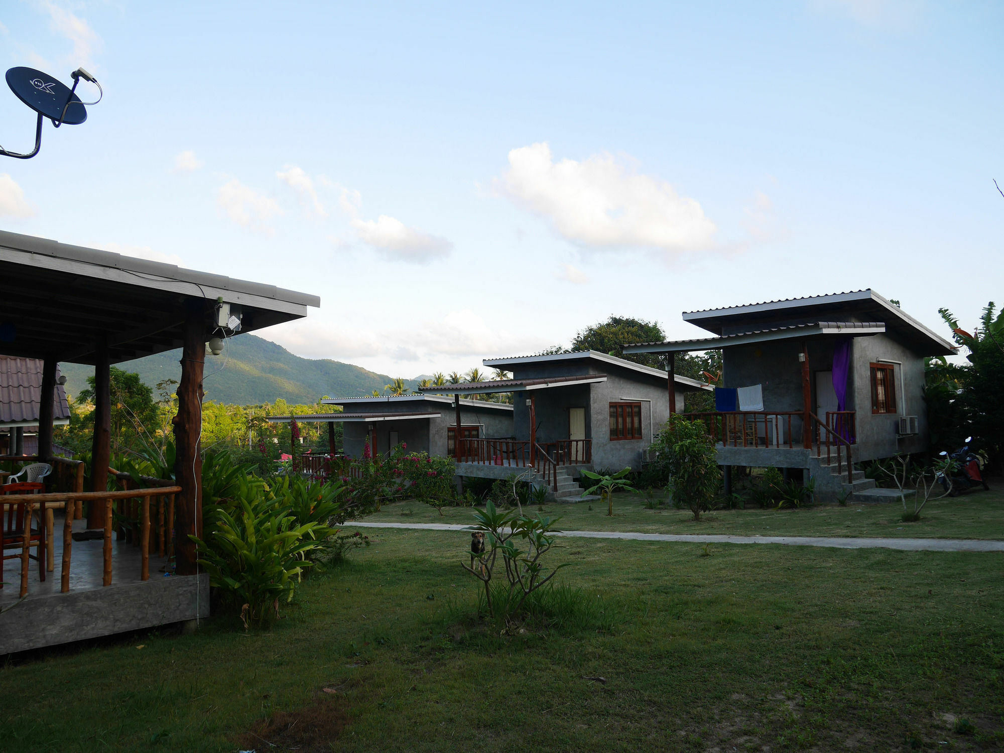 Phangan P10 2*