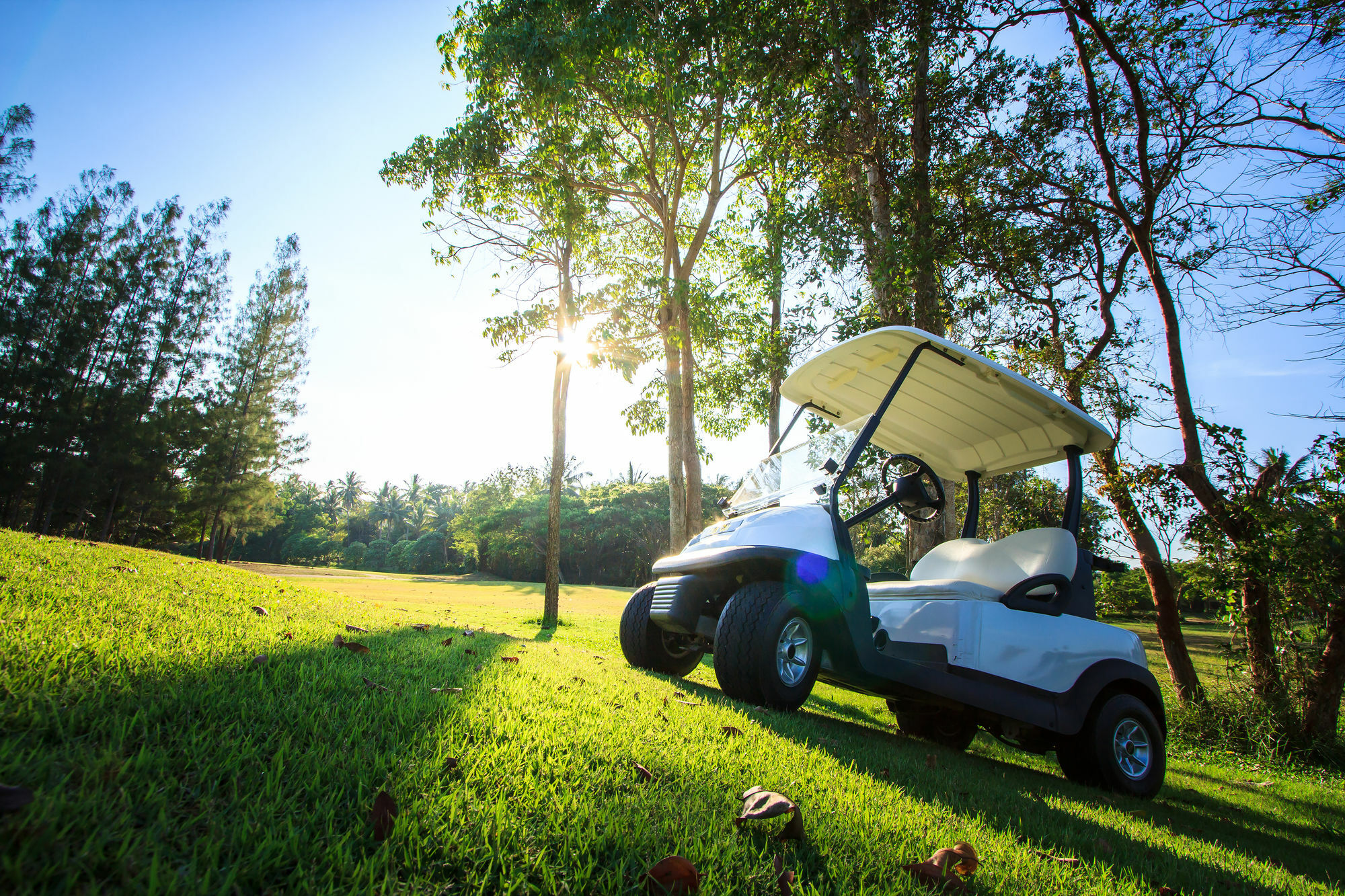 Hotel The Nouveau And Golf 4*