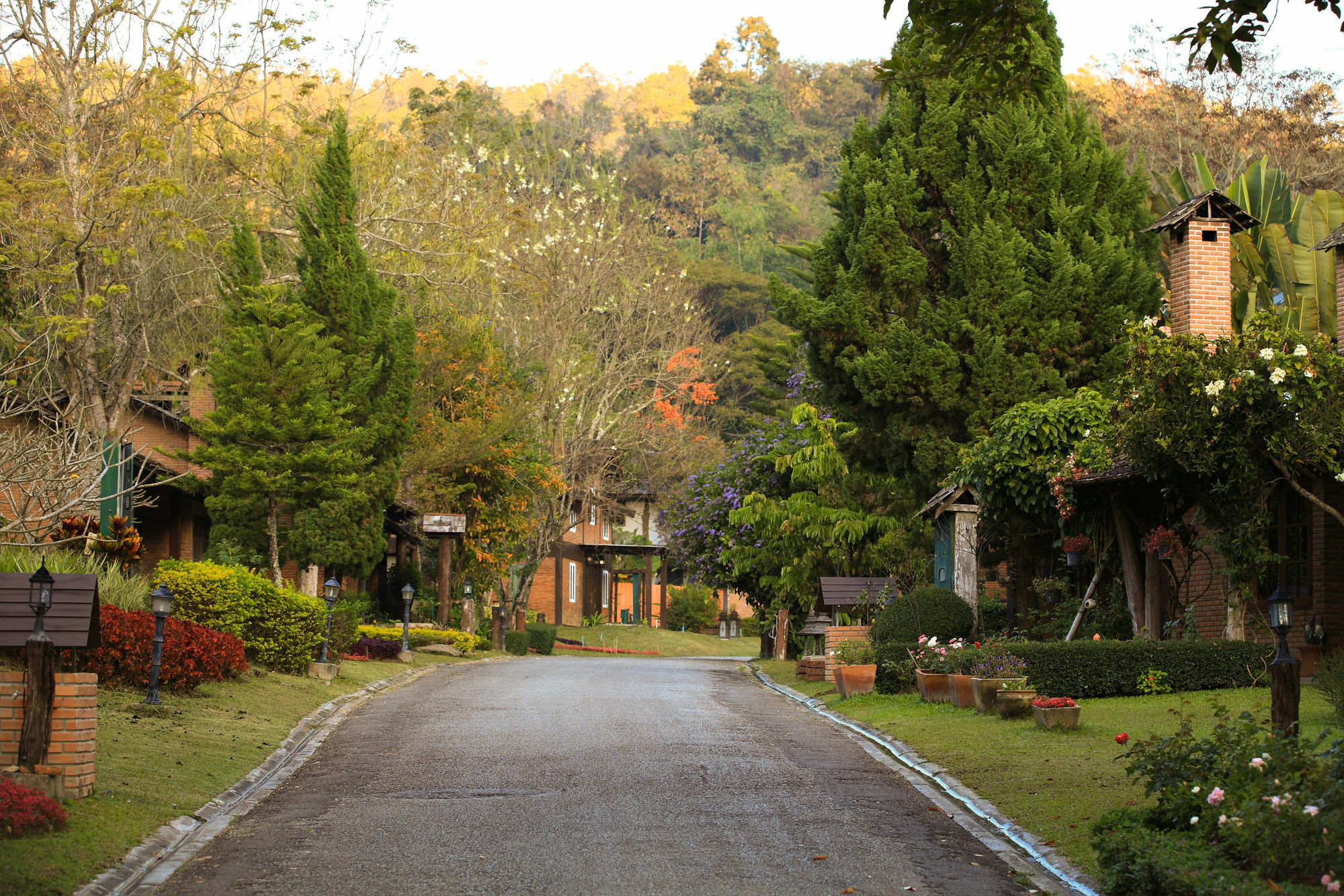 Belle Resort, Chiang Mai Resort