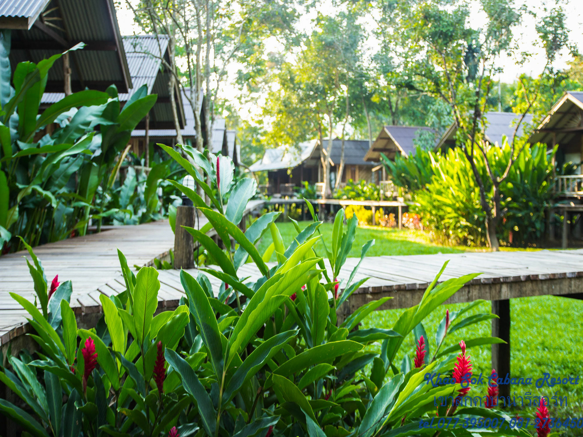 Khao Sok Resort