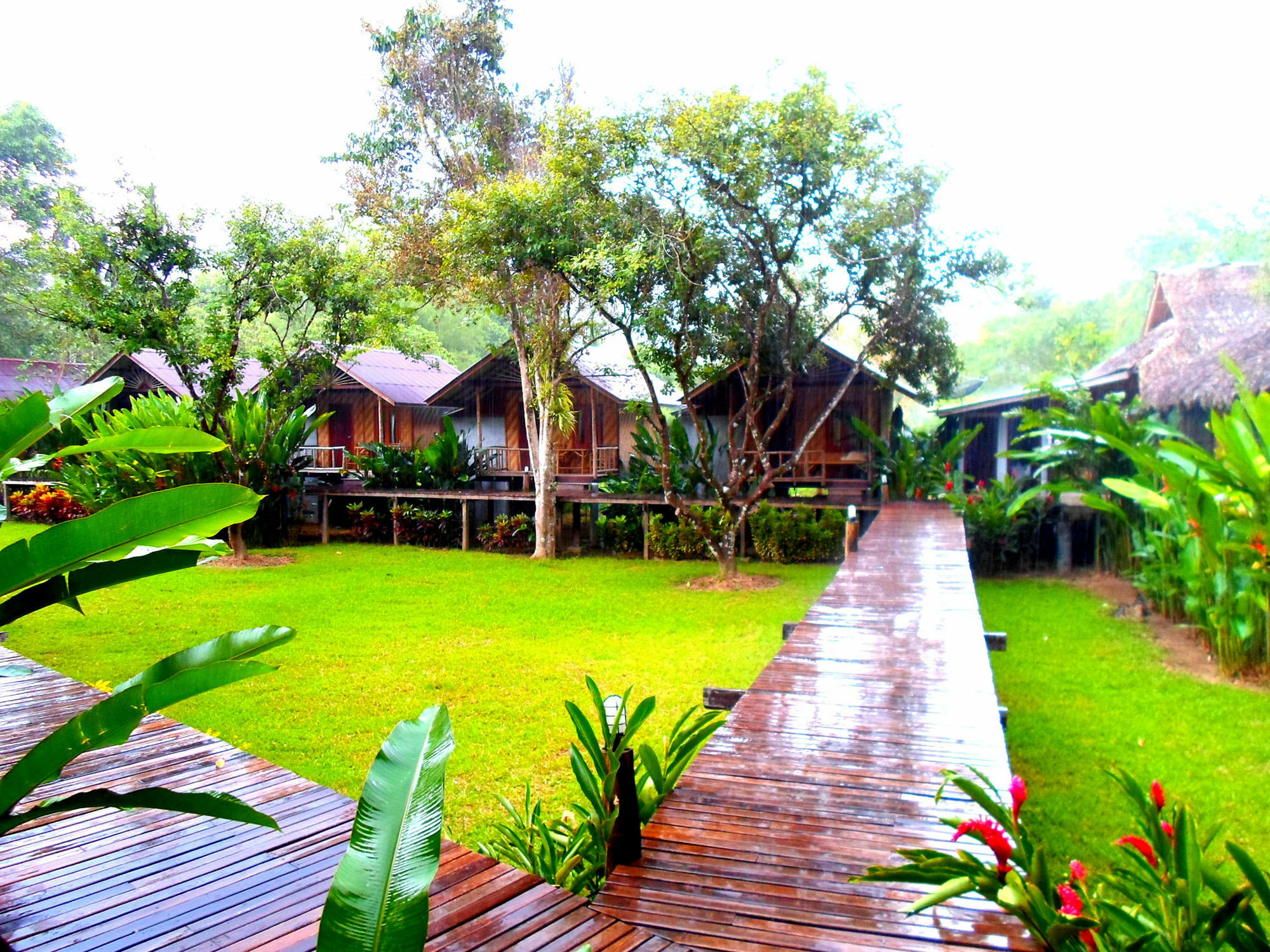 Resort Khao Sok Khao Sok National Park