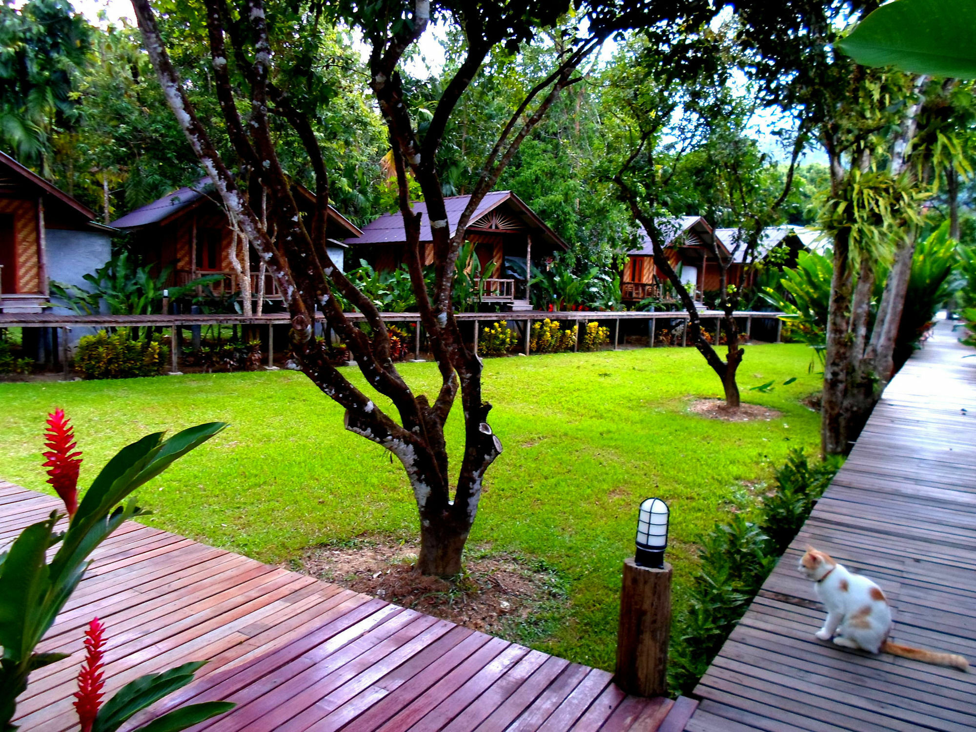 Khao Sok