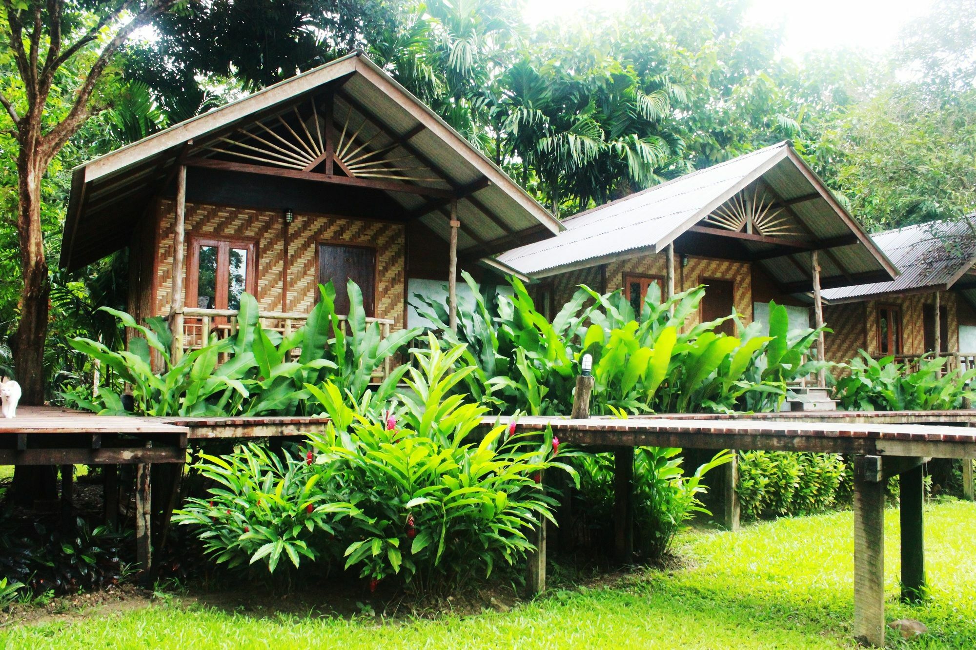 Khao Sok Resort