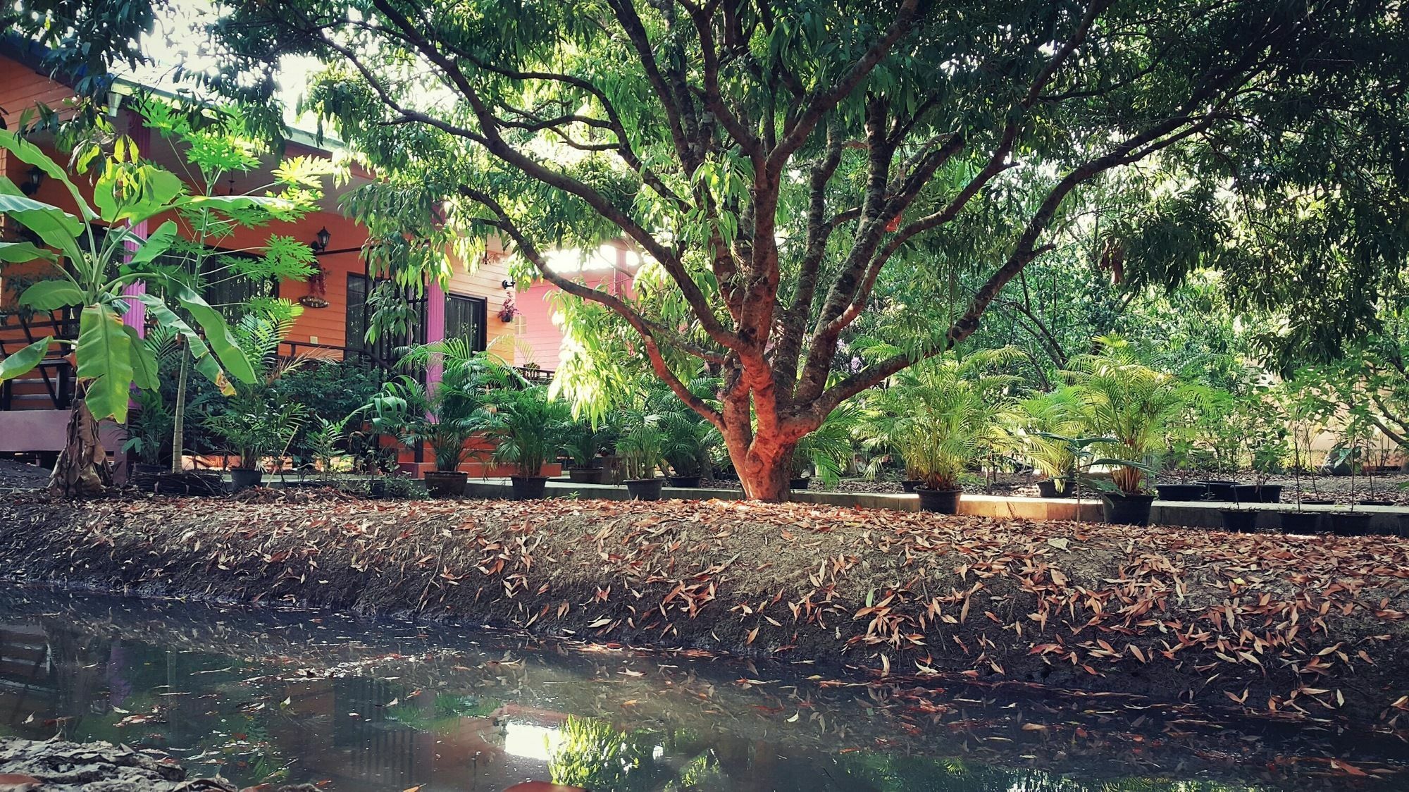 Warakorn Baansuan * Amphawa