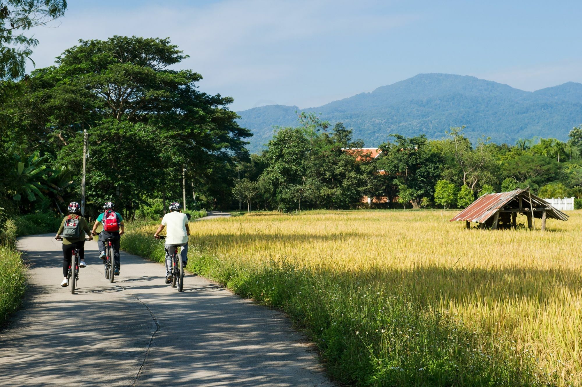 Four Seasons Chiang Mai