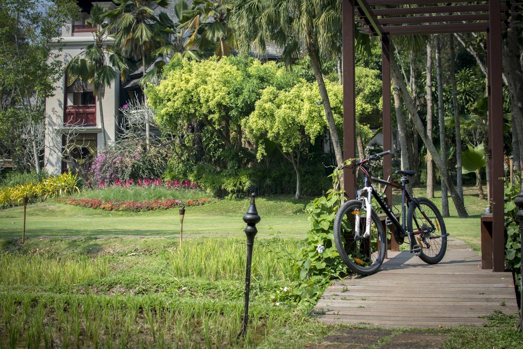 Four Seasons Chiang Mai Resort