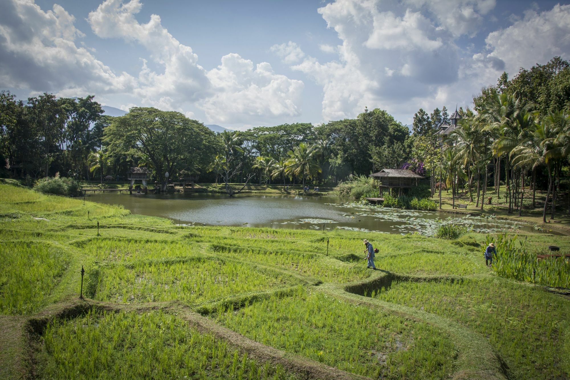 Resort Four Seasons Chiang Mai Mae Rim