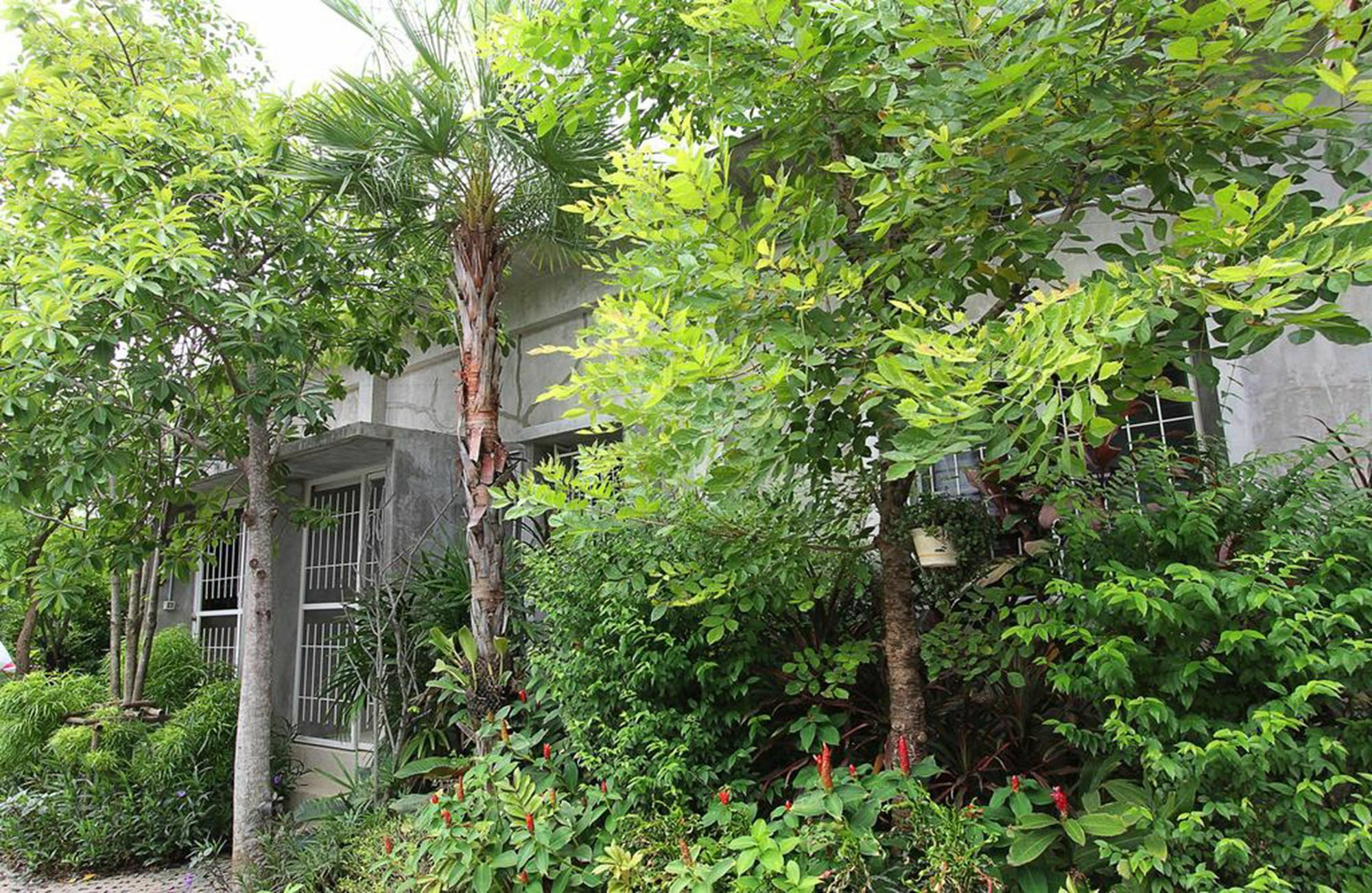 Udon Resort