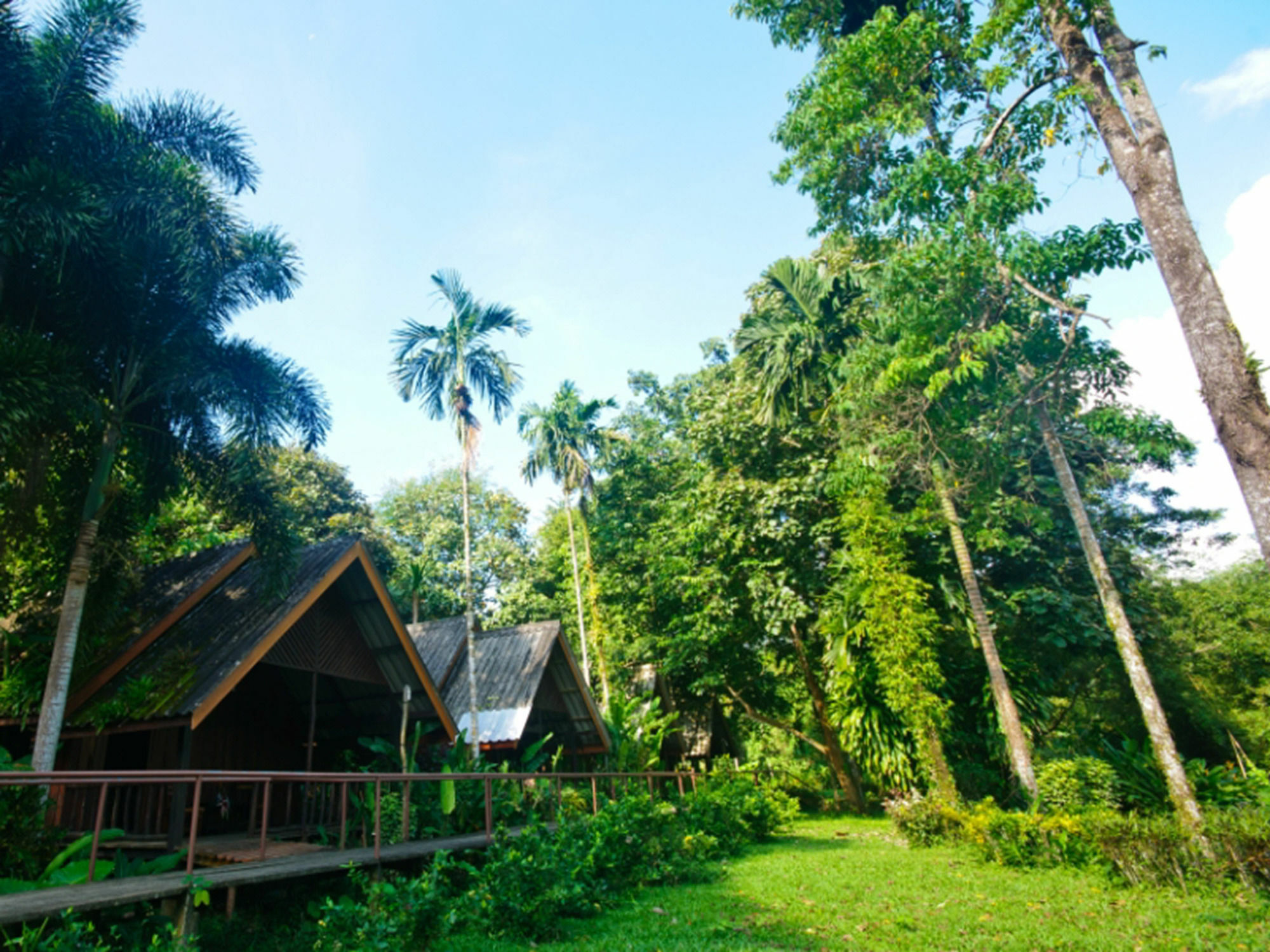 Khao Sok Riverside