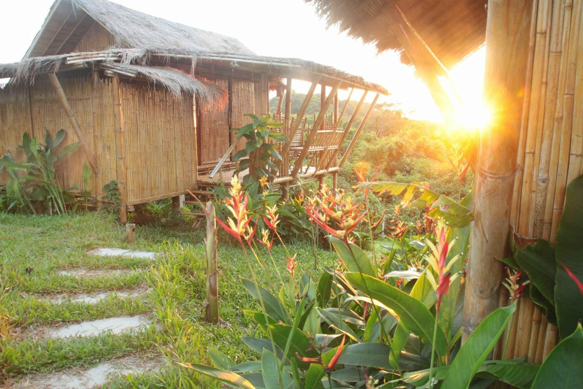 Phuree Hut Koh Phayam