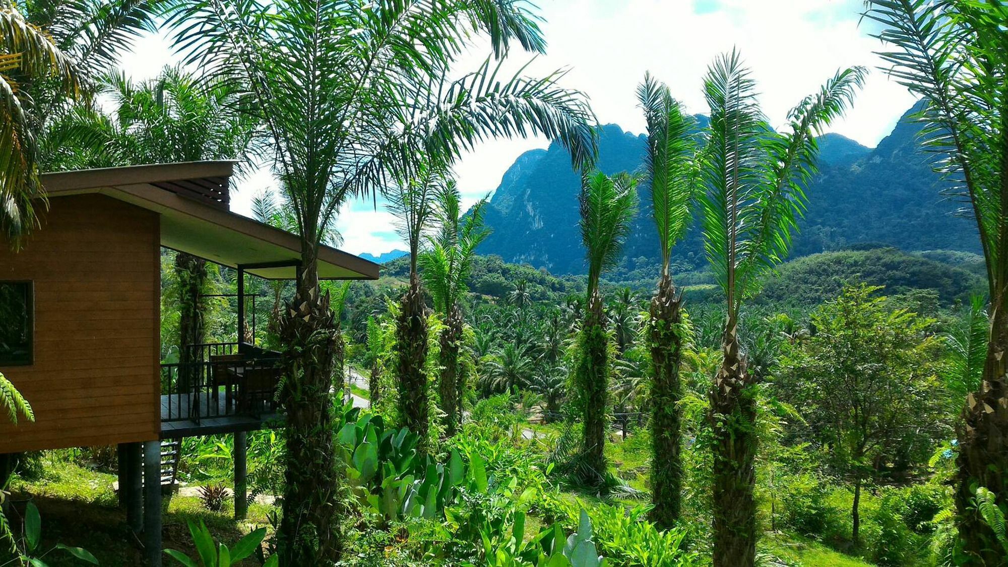 Khao Sok Horizon Resort