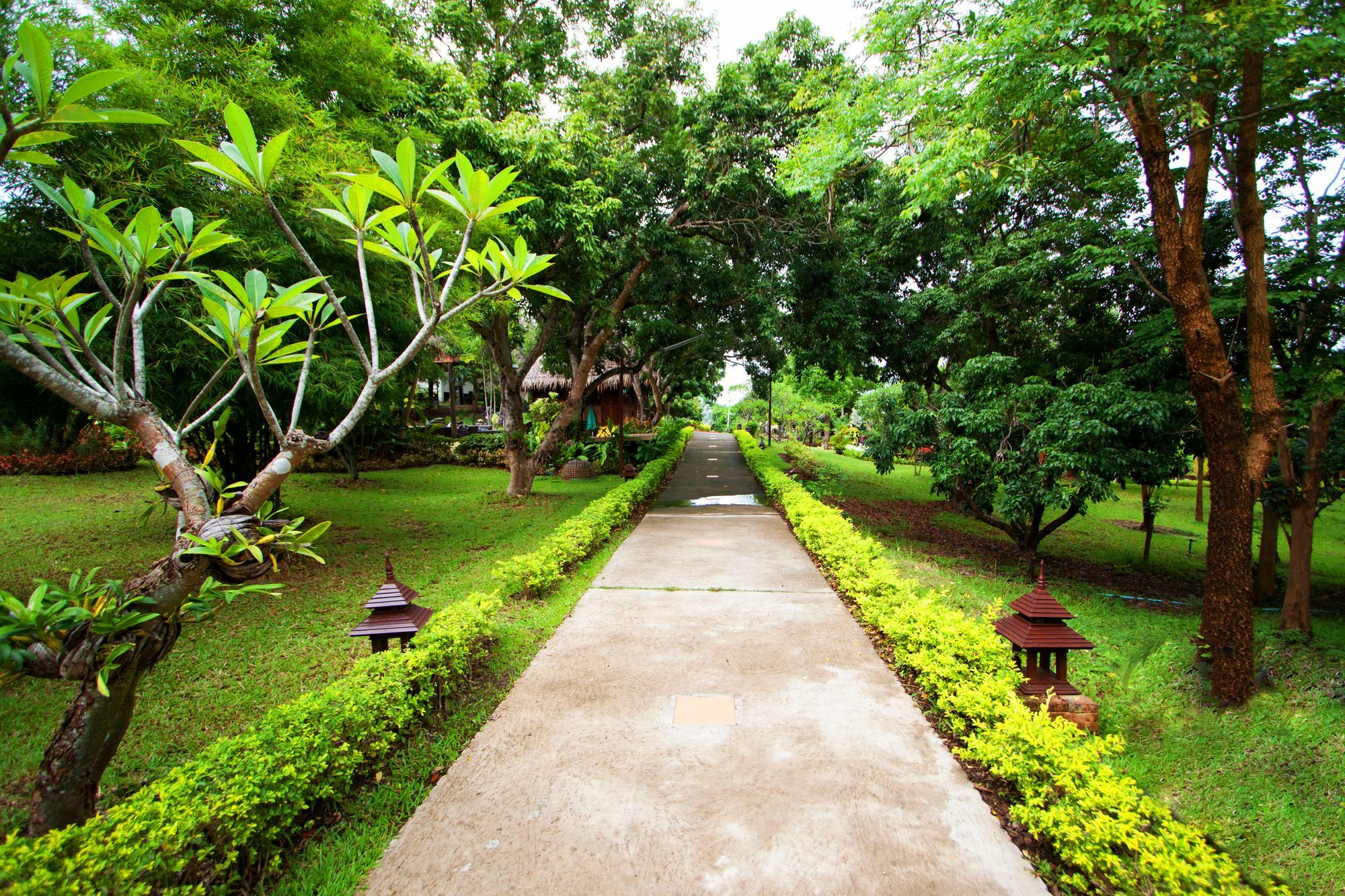 Touch Star - Doi Inthanon Resort Chom Thong