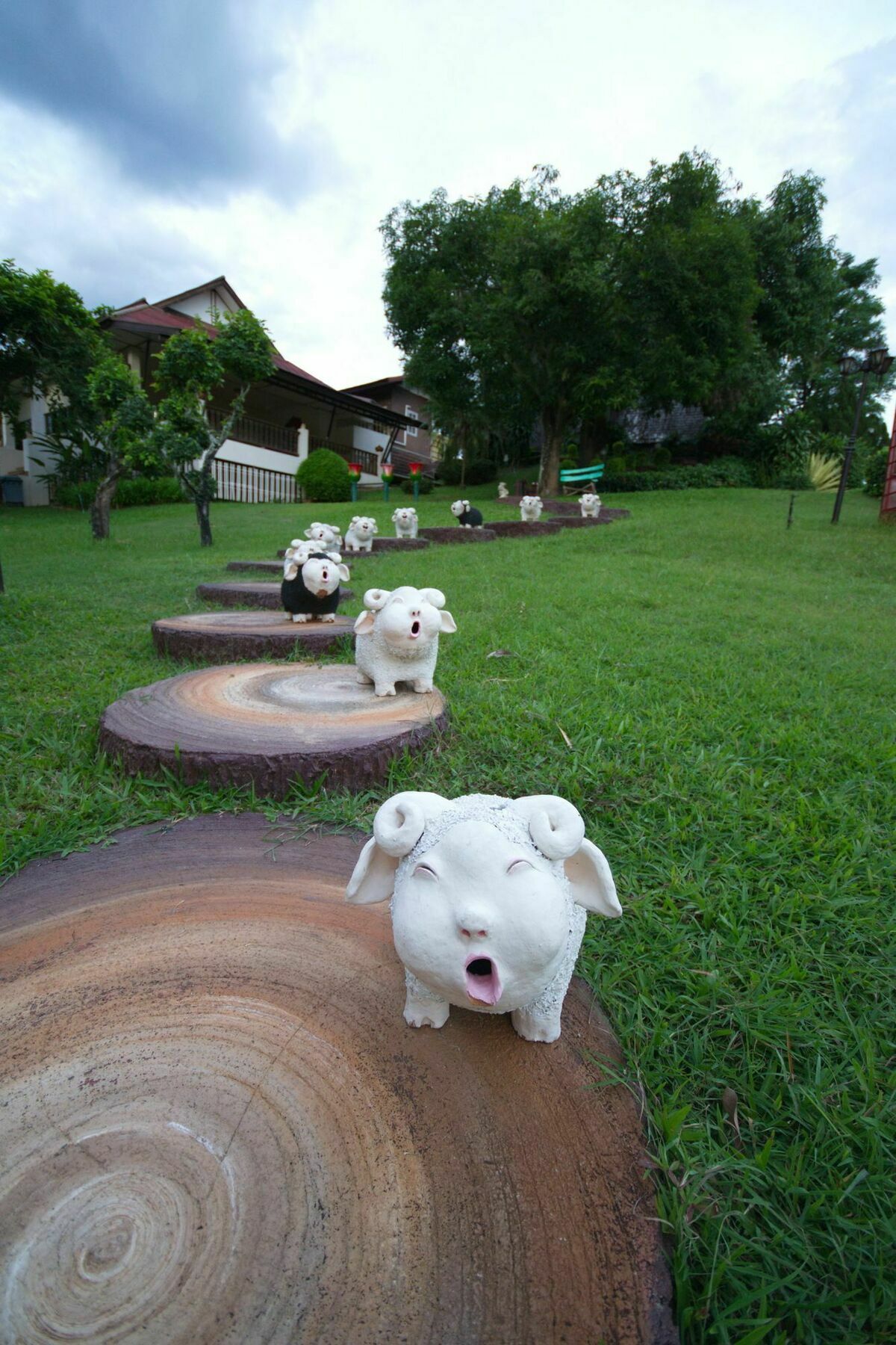 Touch Star - Doi Inthanon Resort