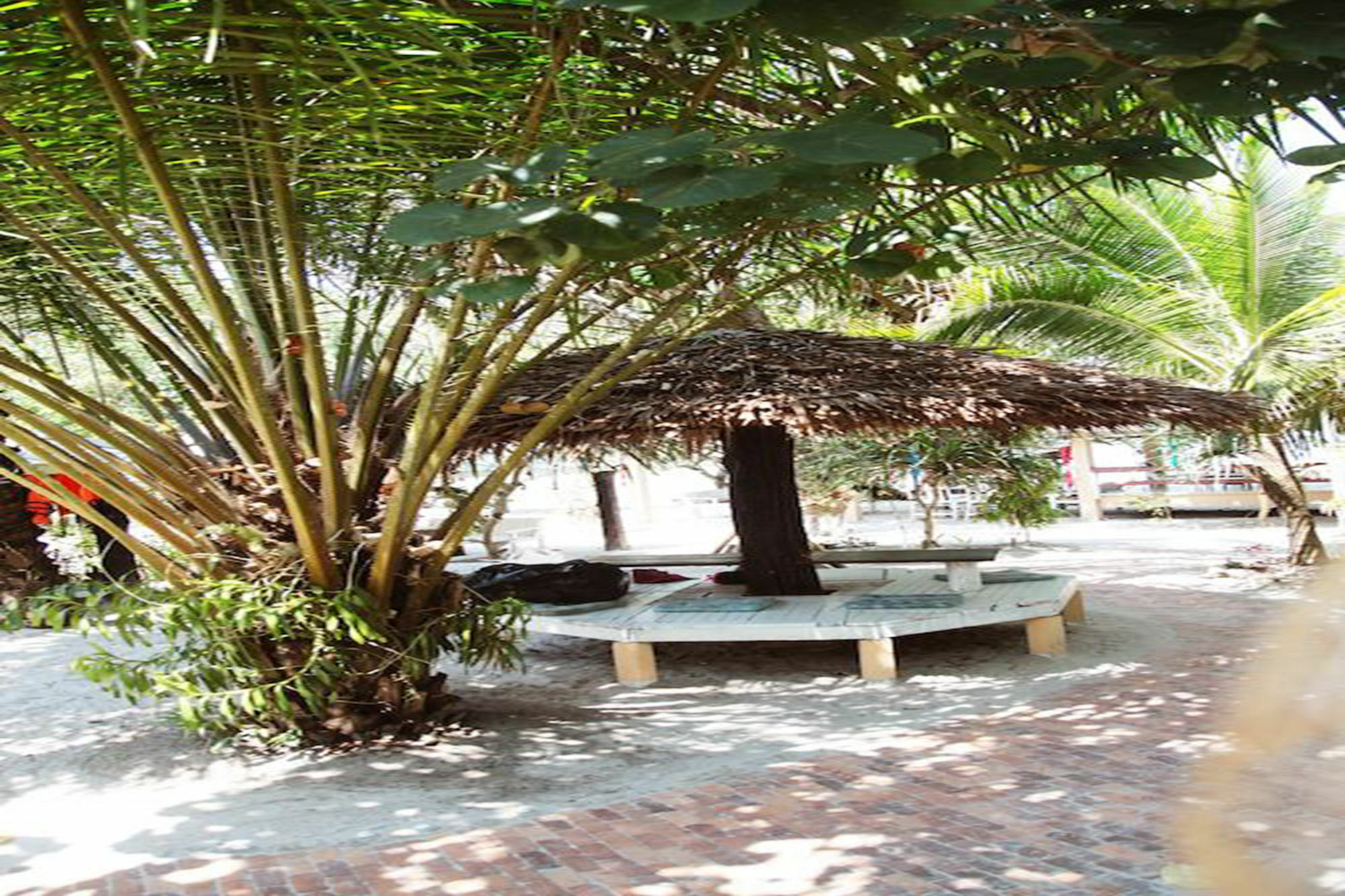 Guest house Vijit