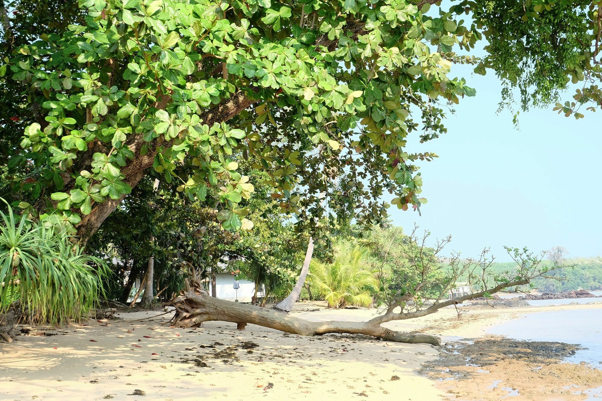 Plub Pla Retreat Resort 4*