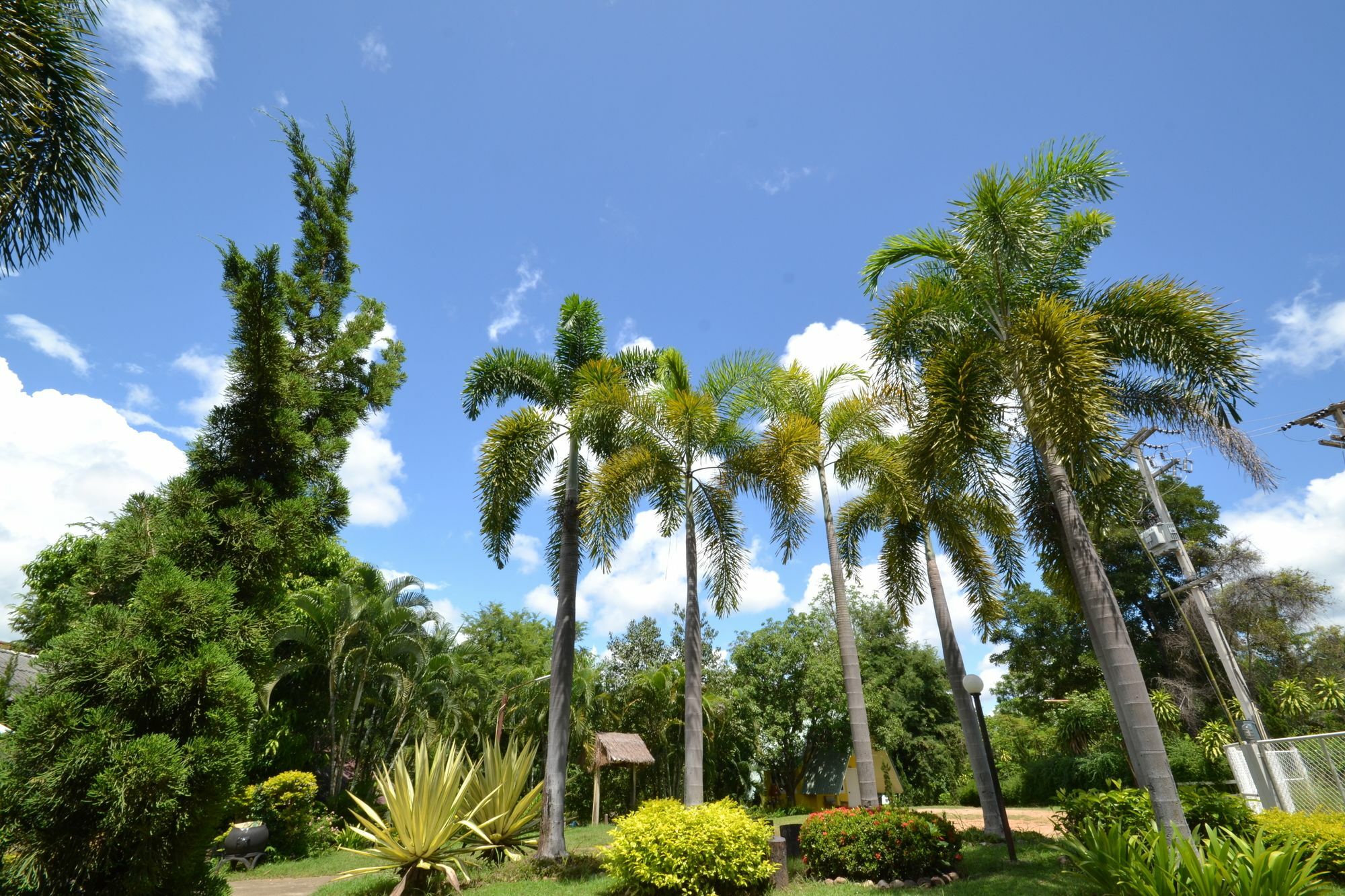 Resort Touch Star - Doi Inthanon Chom Thong
