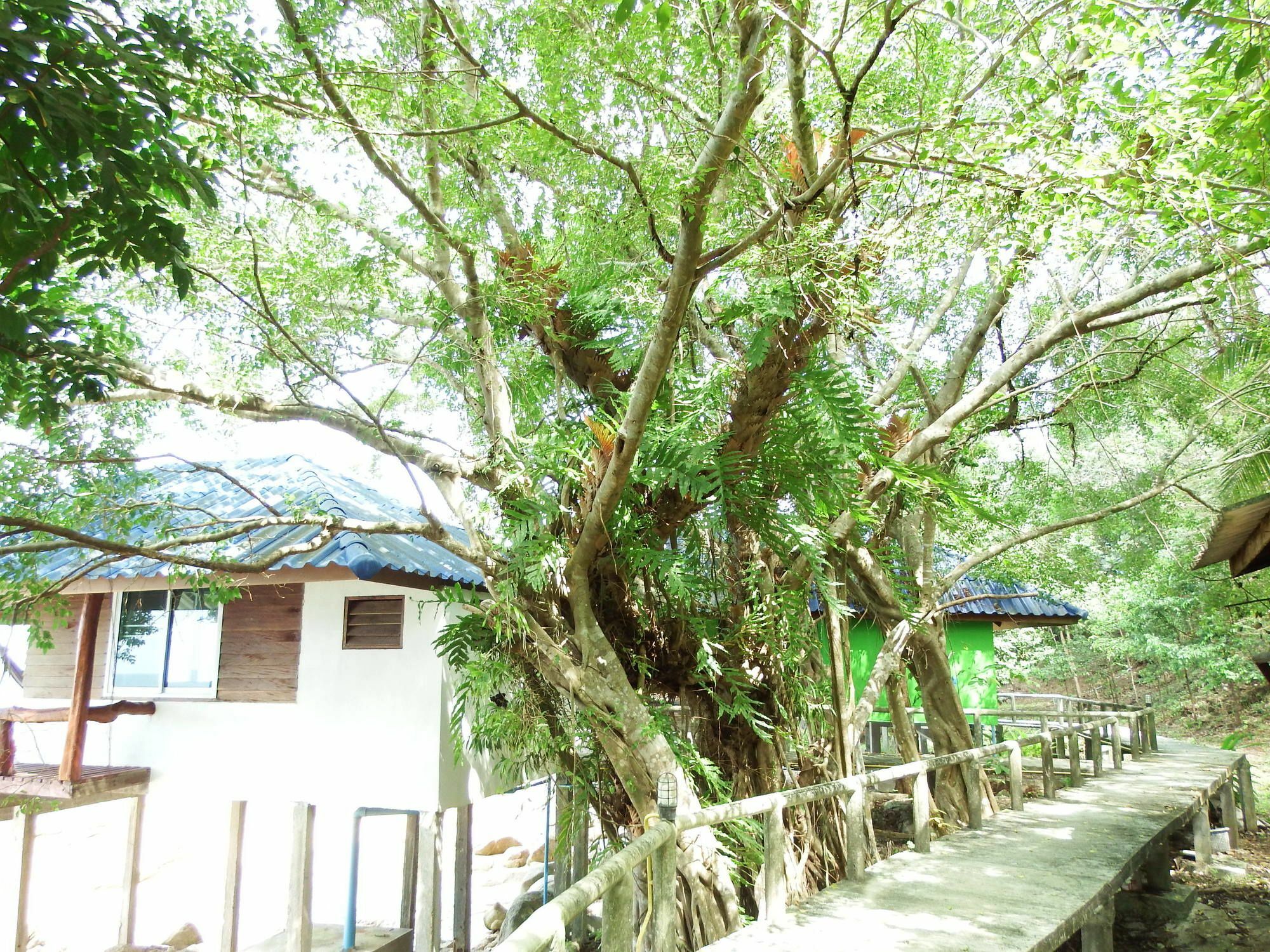 Guest house Kohchangresortranong 2*