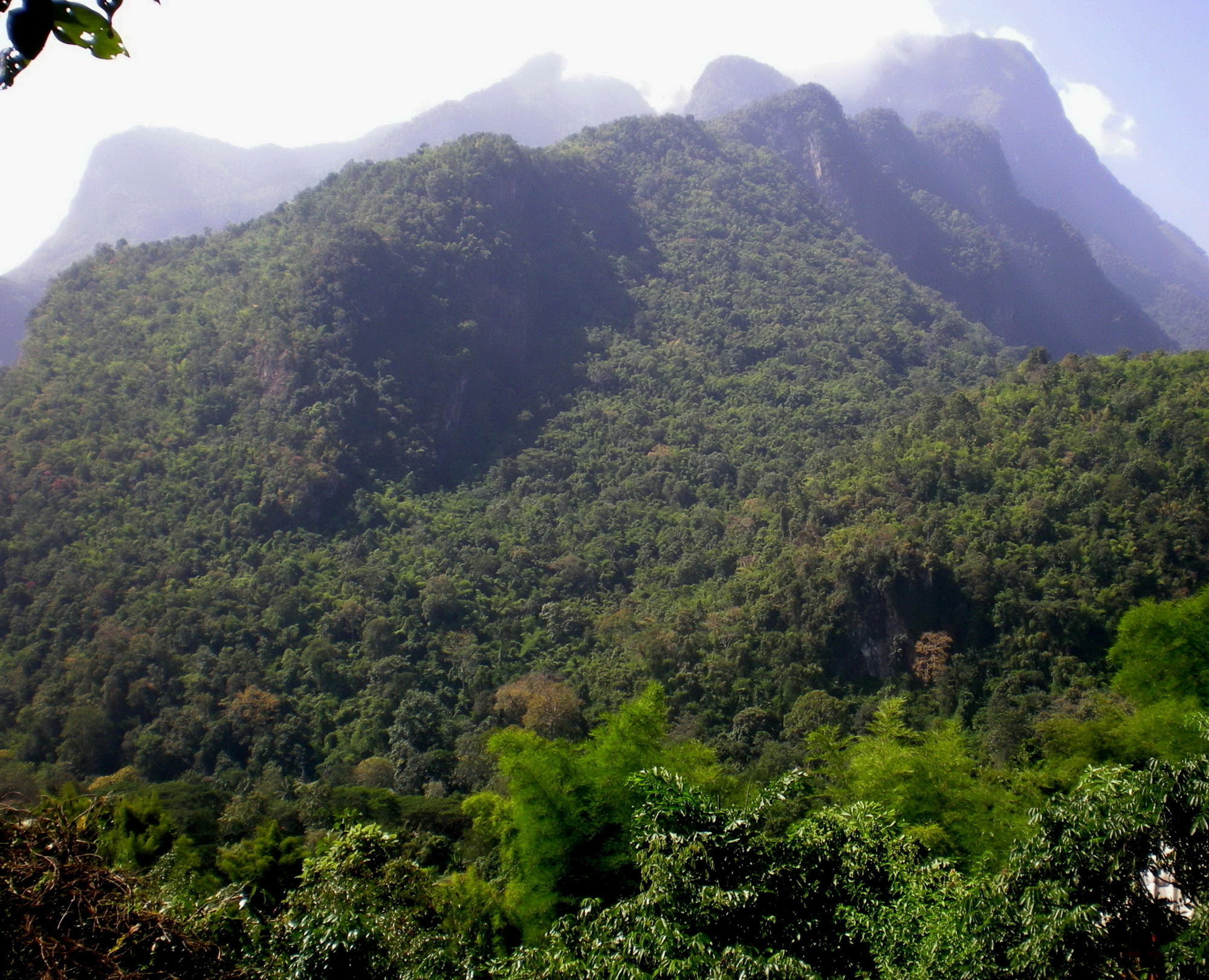 Roundhouses Chiang Dao