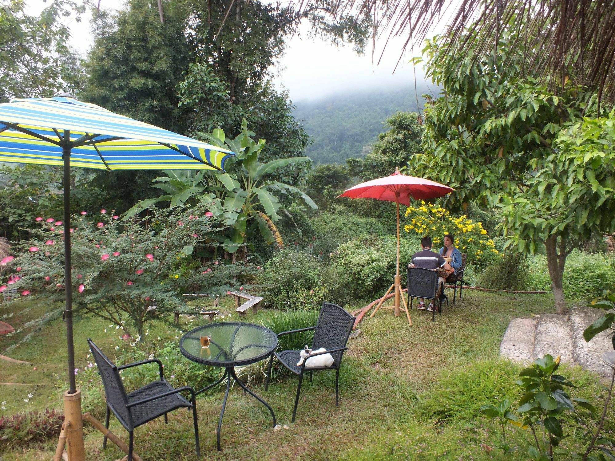 Bed & Breakfast Roundhouses *