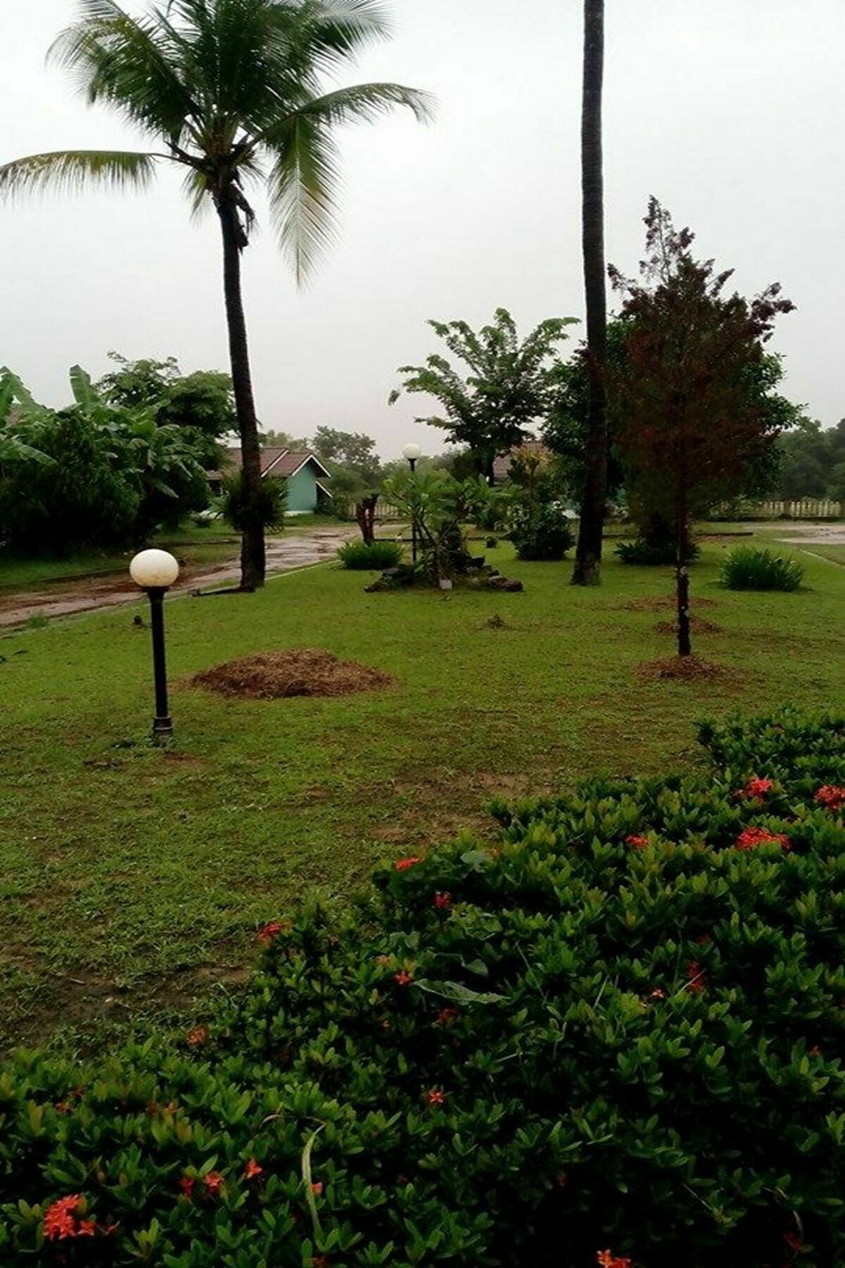 Zigzag Guest house