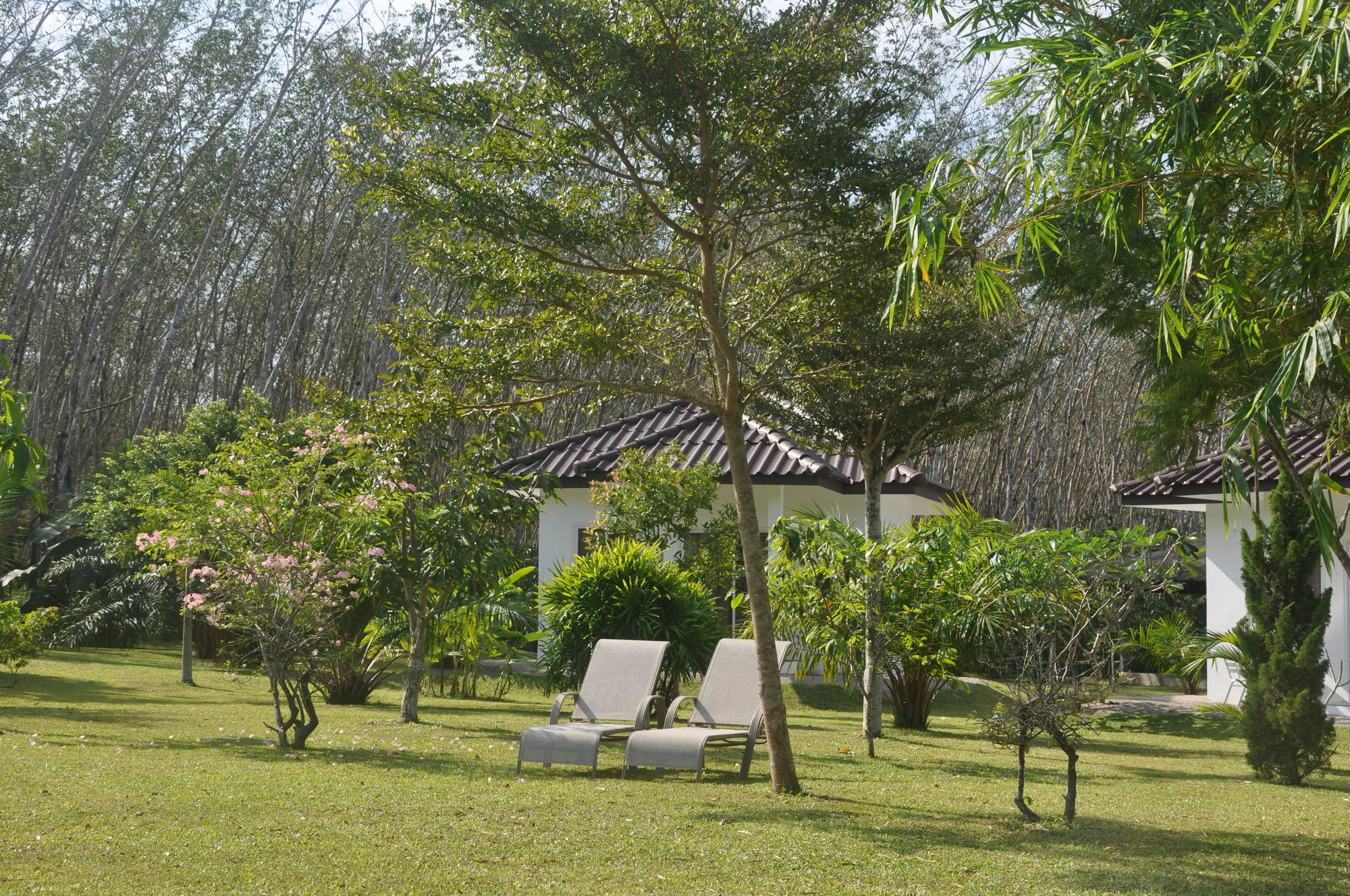 Sabai Pak Meng 3*