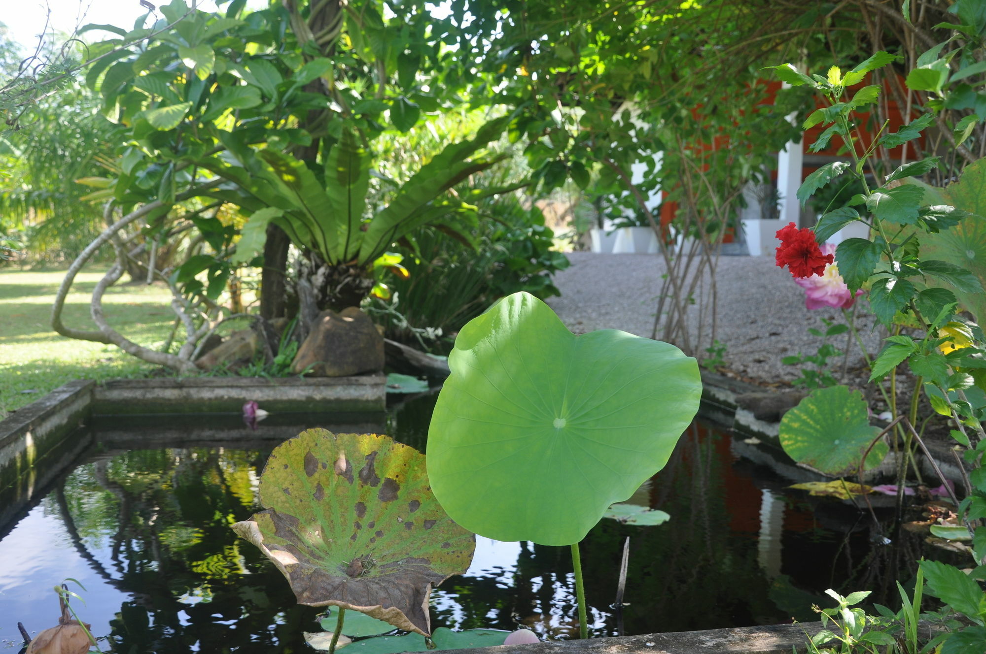 Hotel Sabai Pak Meng Sikao