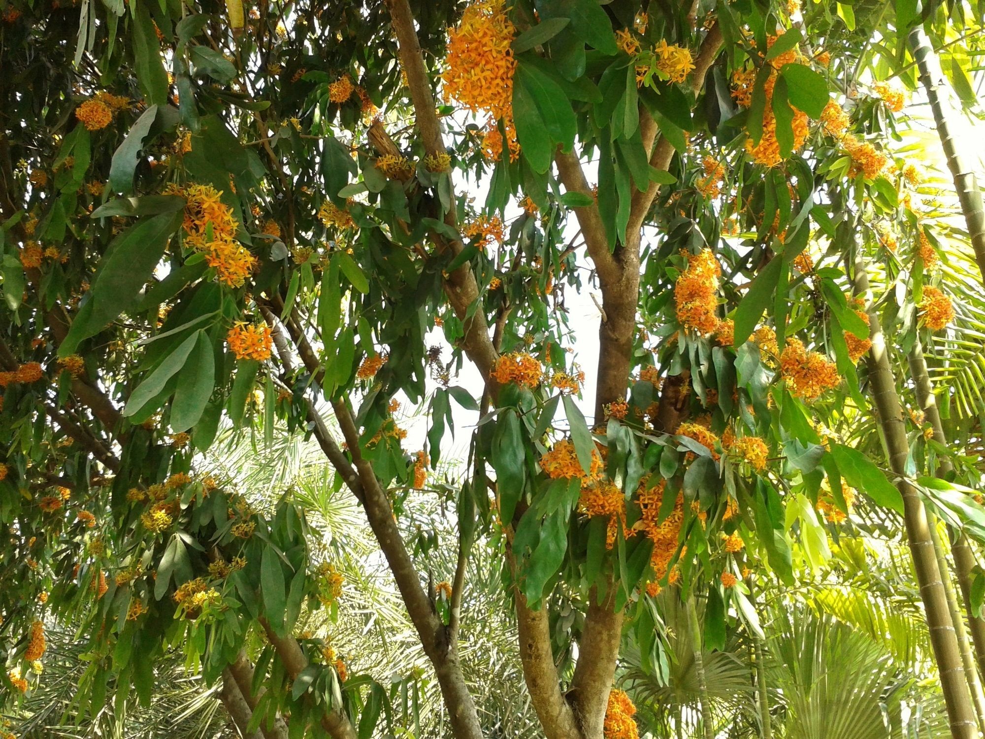 Huan Resort Chiang Dao