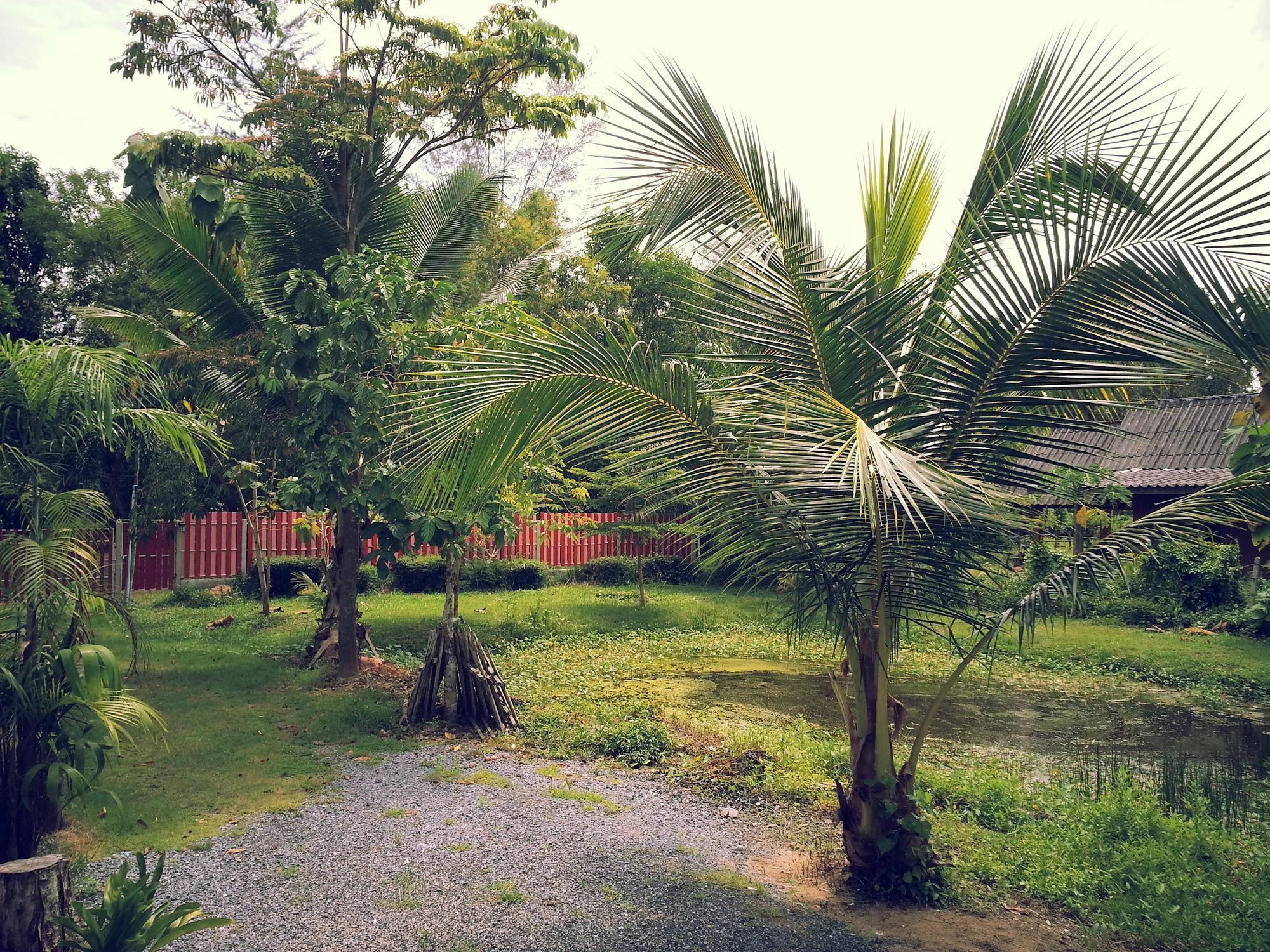 Saithong