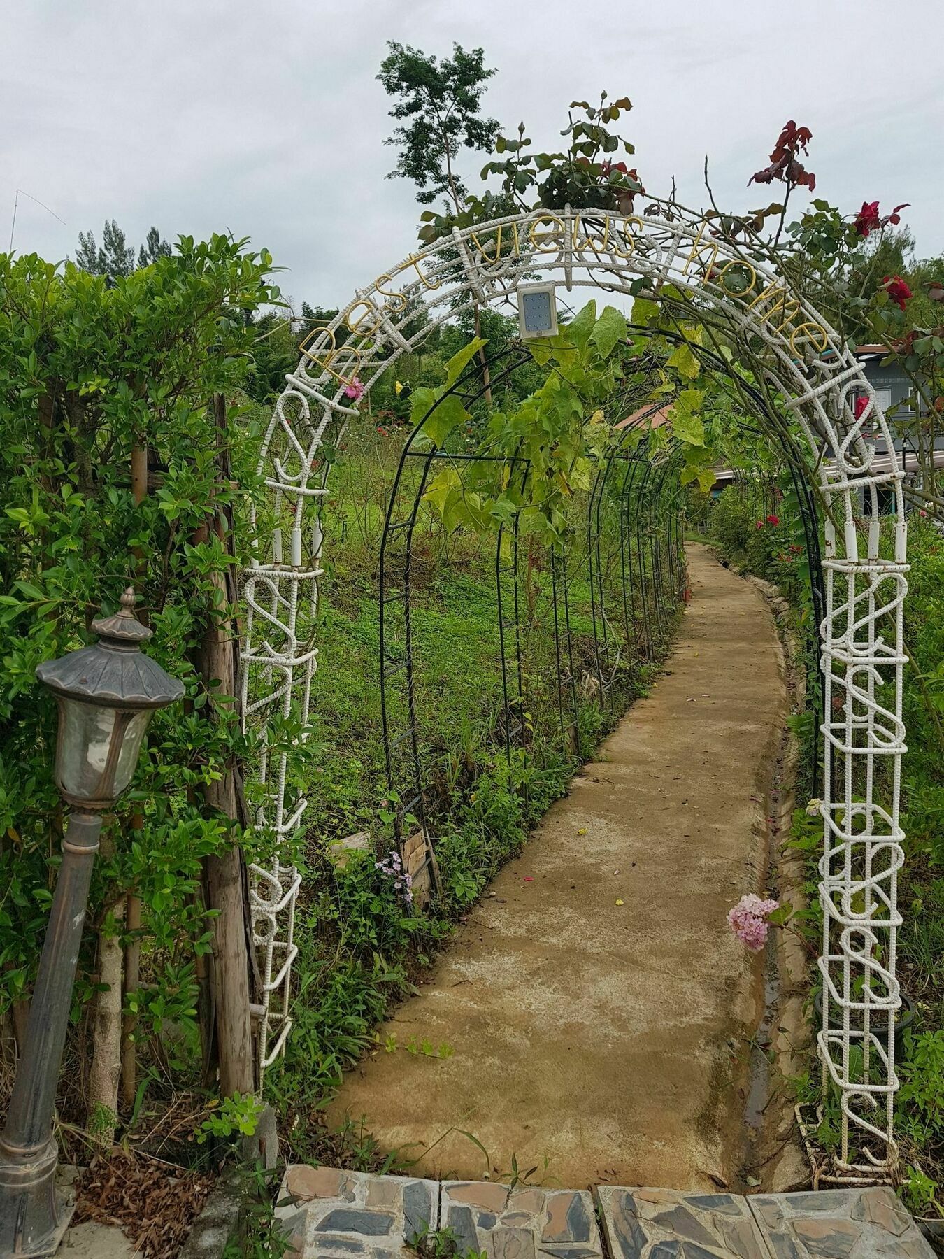 Best Views Khao Kho Resort 2*