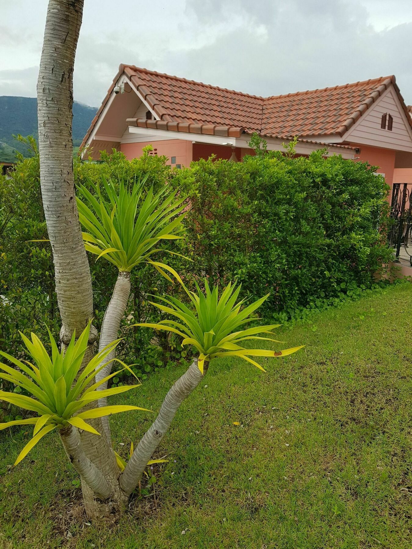 Best Views Khao Kho 2*
