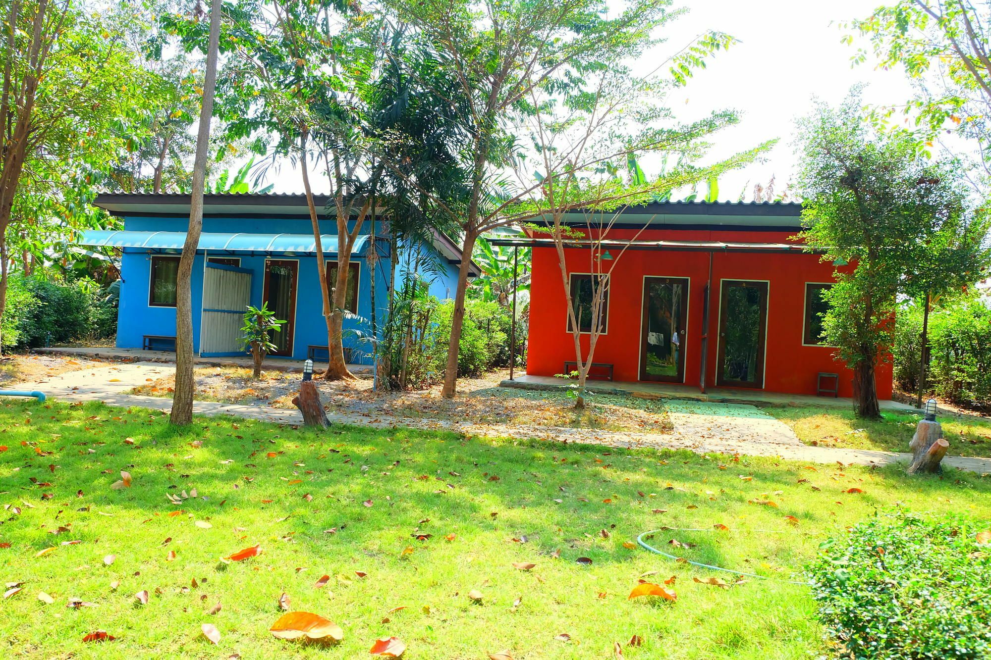 Baan Plang