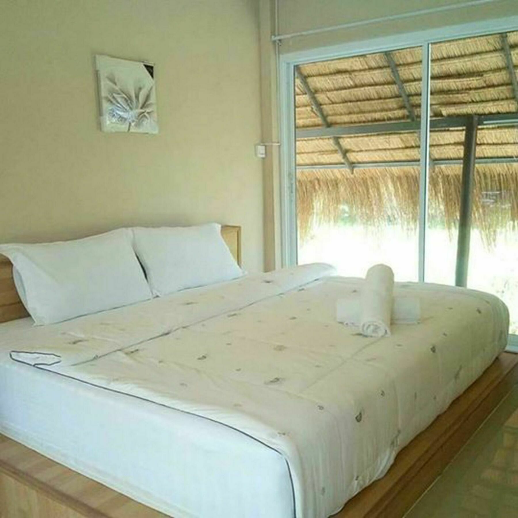Suwi Coco