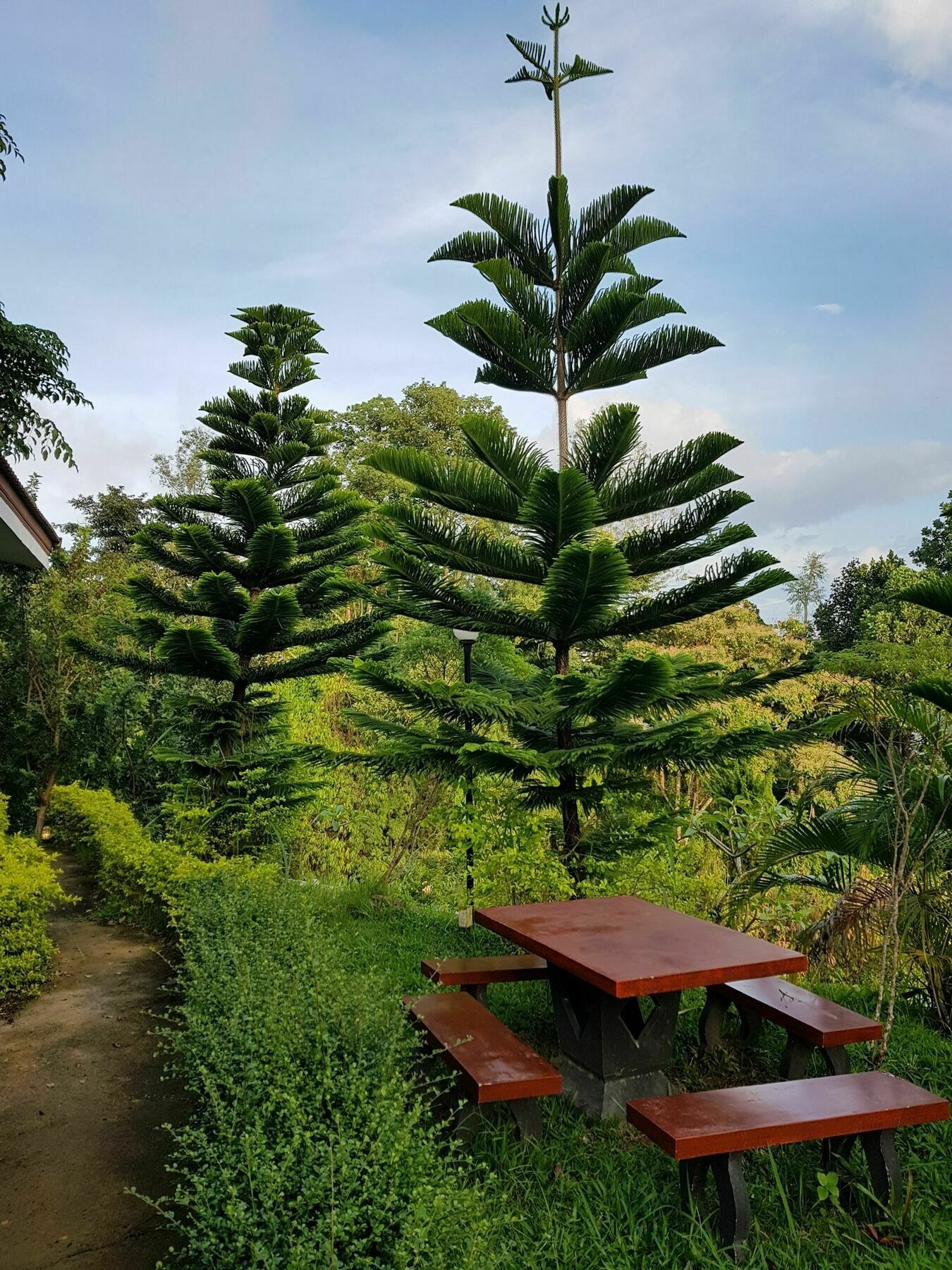 Mossview Khaokho 3* Khao Kho