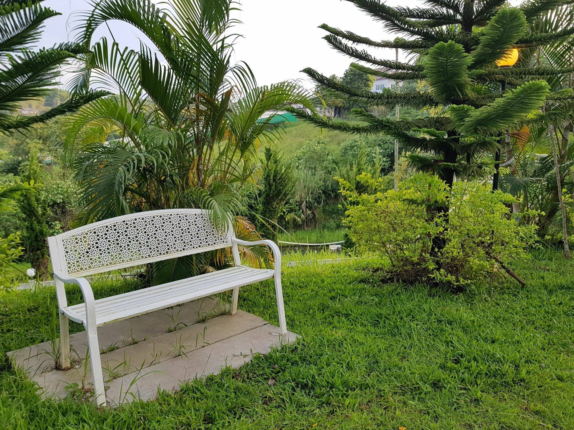 Resort Mossview Khaokho 3*