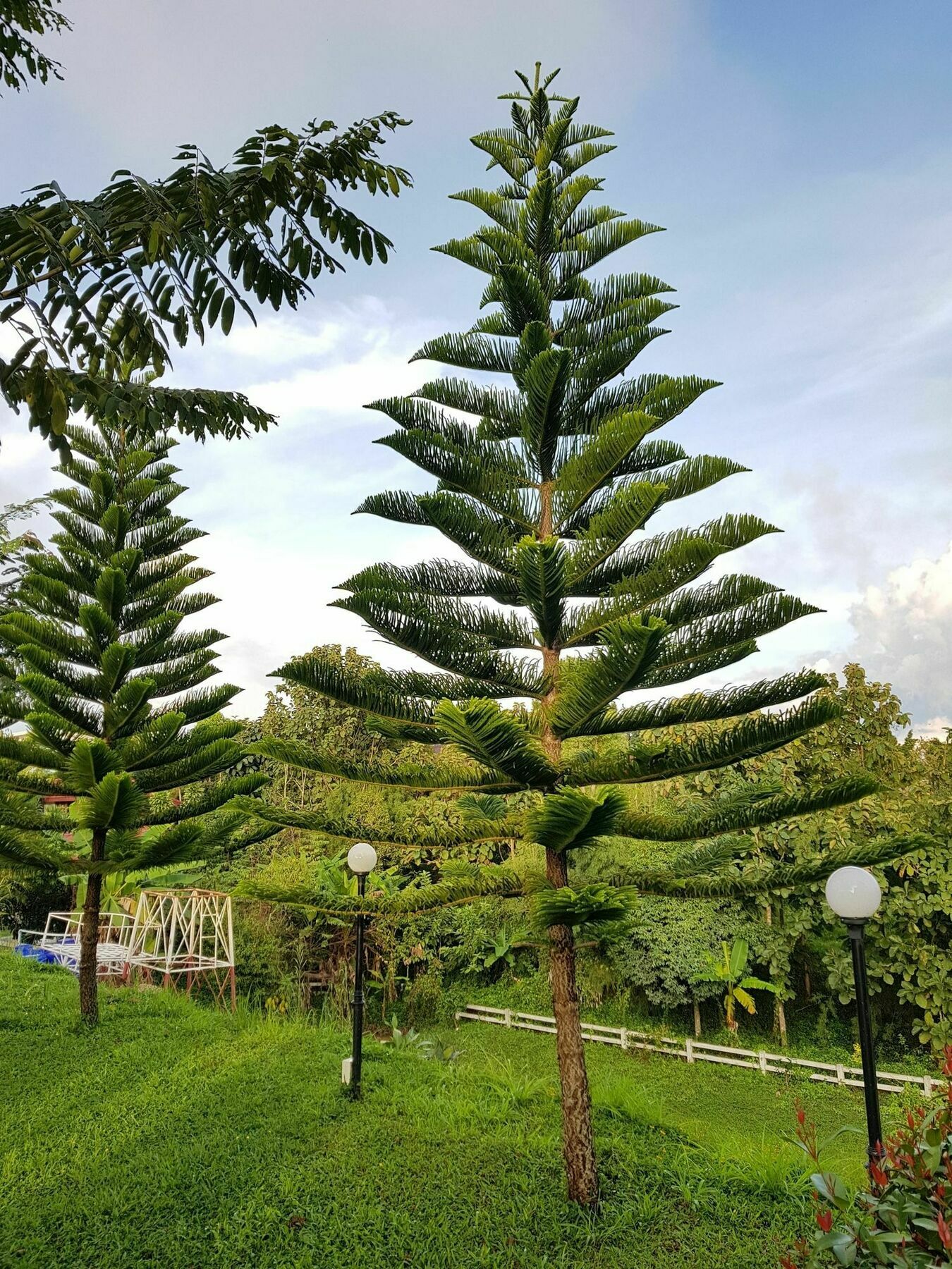 Mossview Khaokho Resort 3*