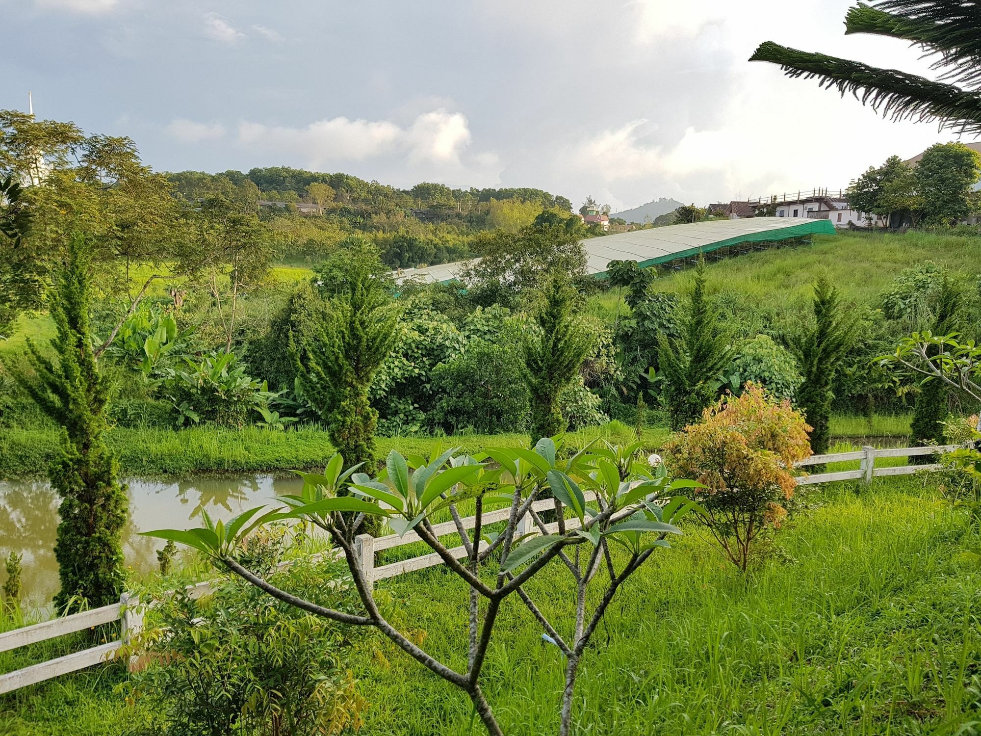 Mossview Khaokho 3* Khao Kho